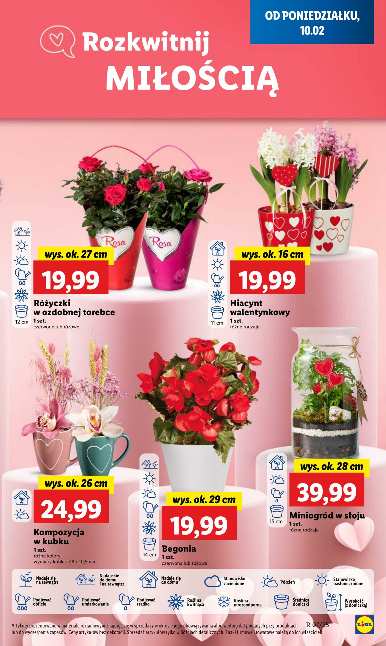 Gazetka Lidl 10.02.2025 - 12.02.2025