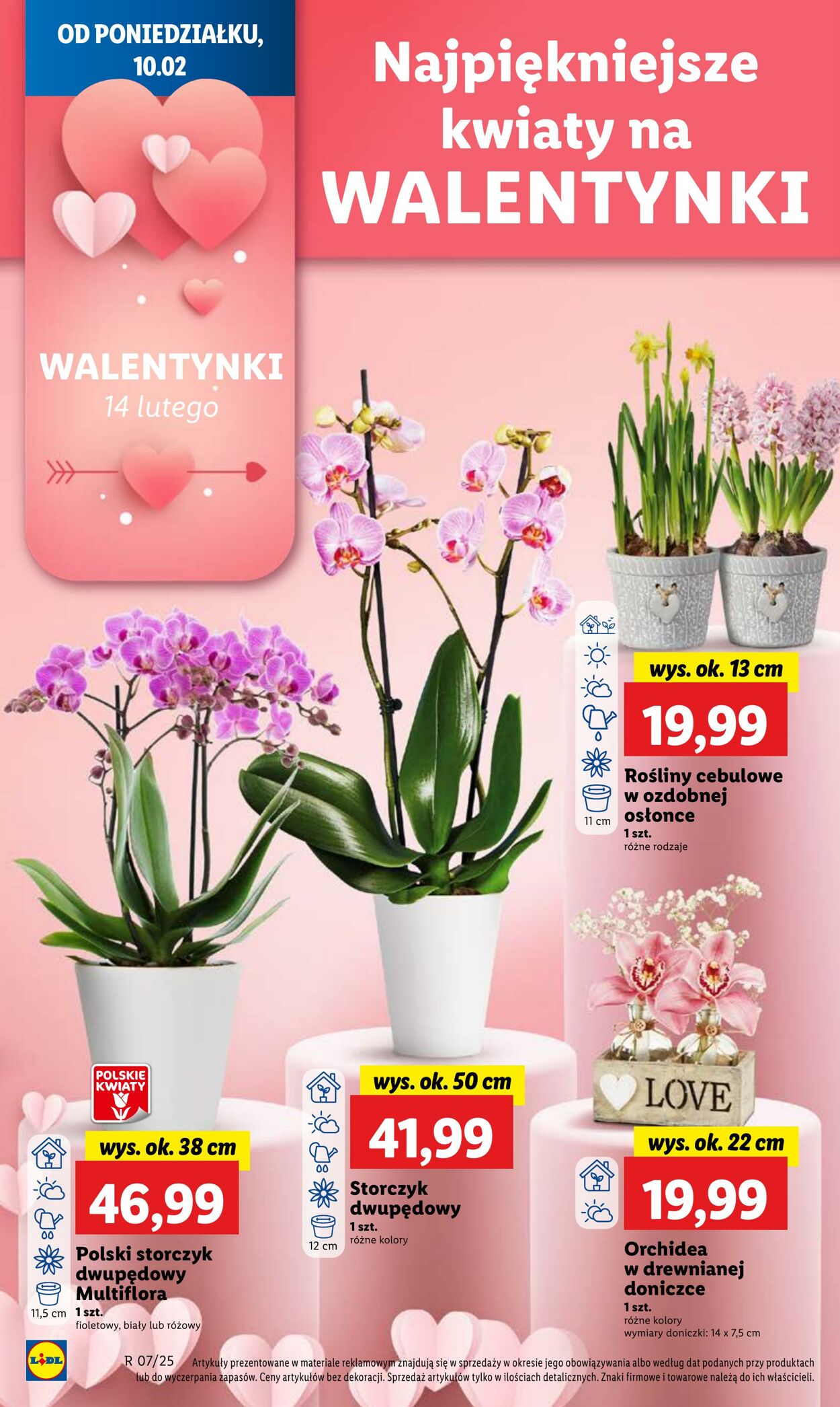 Gazetka Lidl 10.02.2025 - 12.02.2025