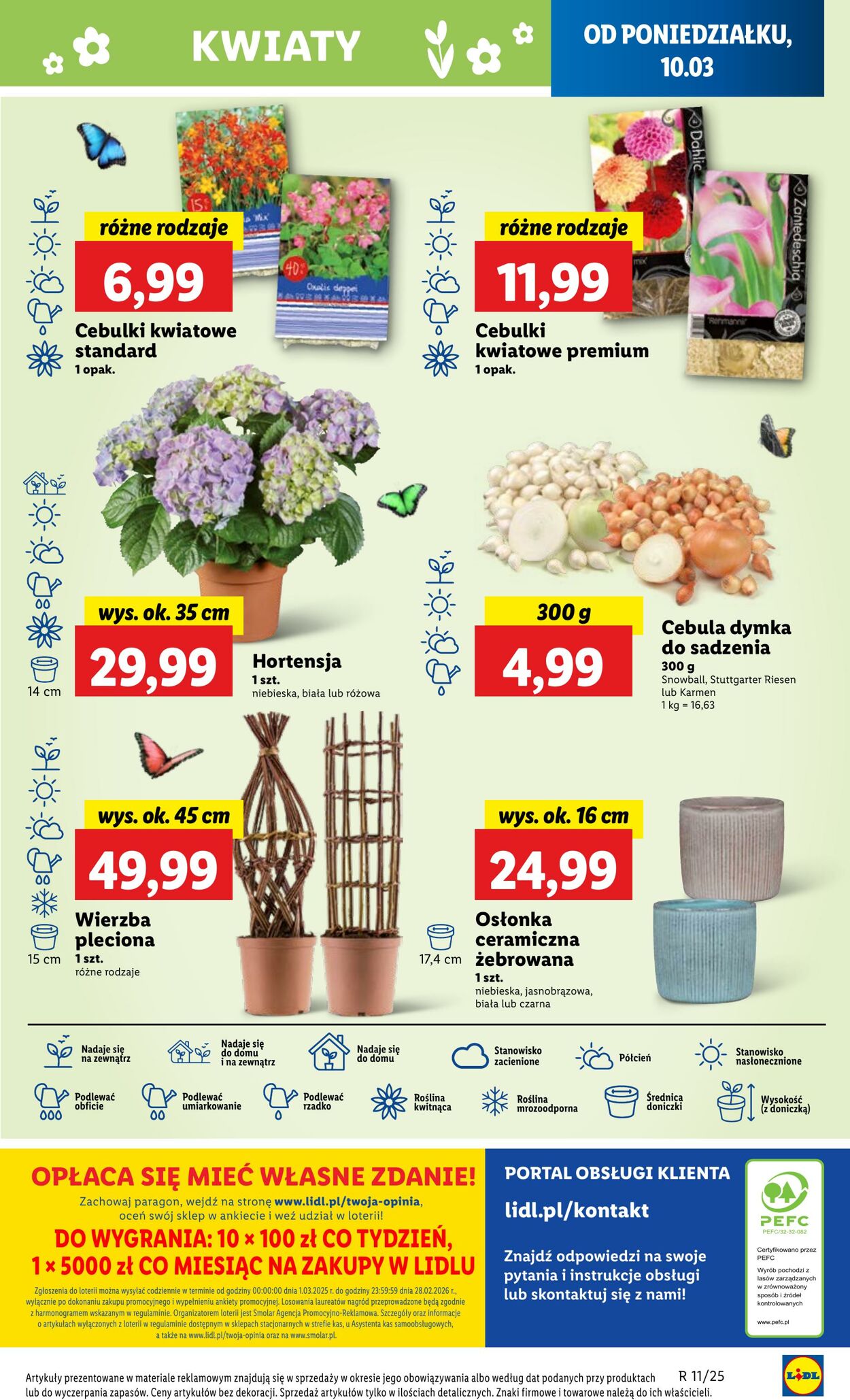 Gazetka Lidl 10.03.2025 - 12.03.2025