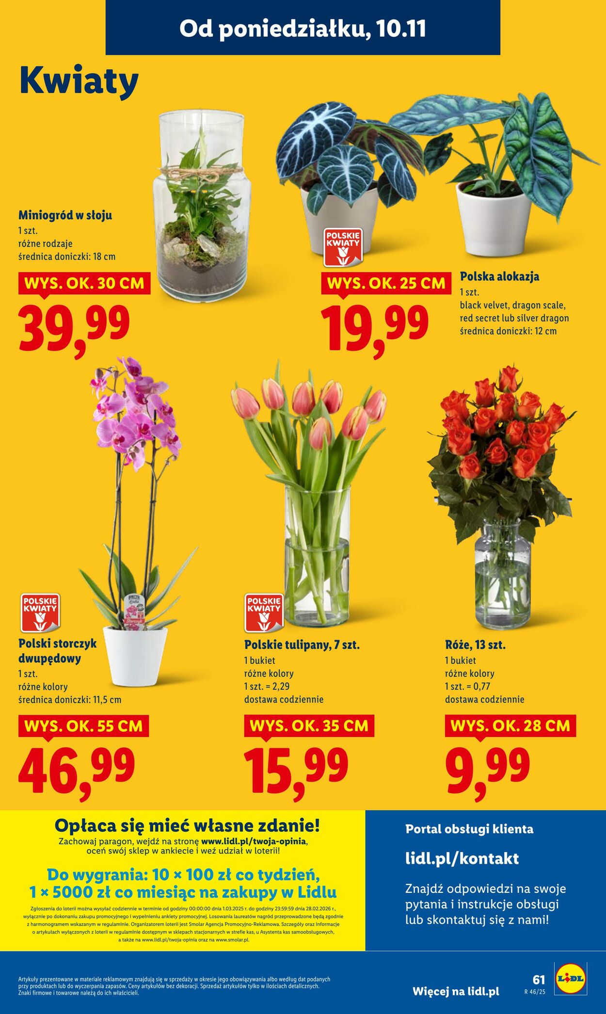 Gazetka Lidl 10.11.2025 - 12.11.2025