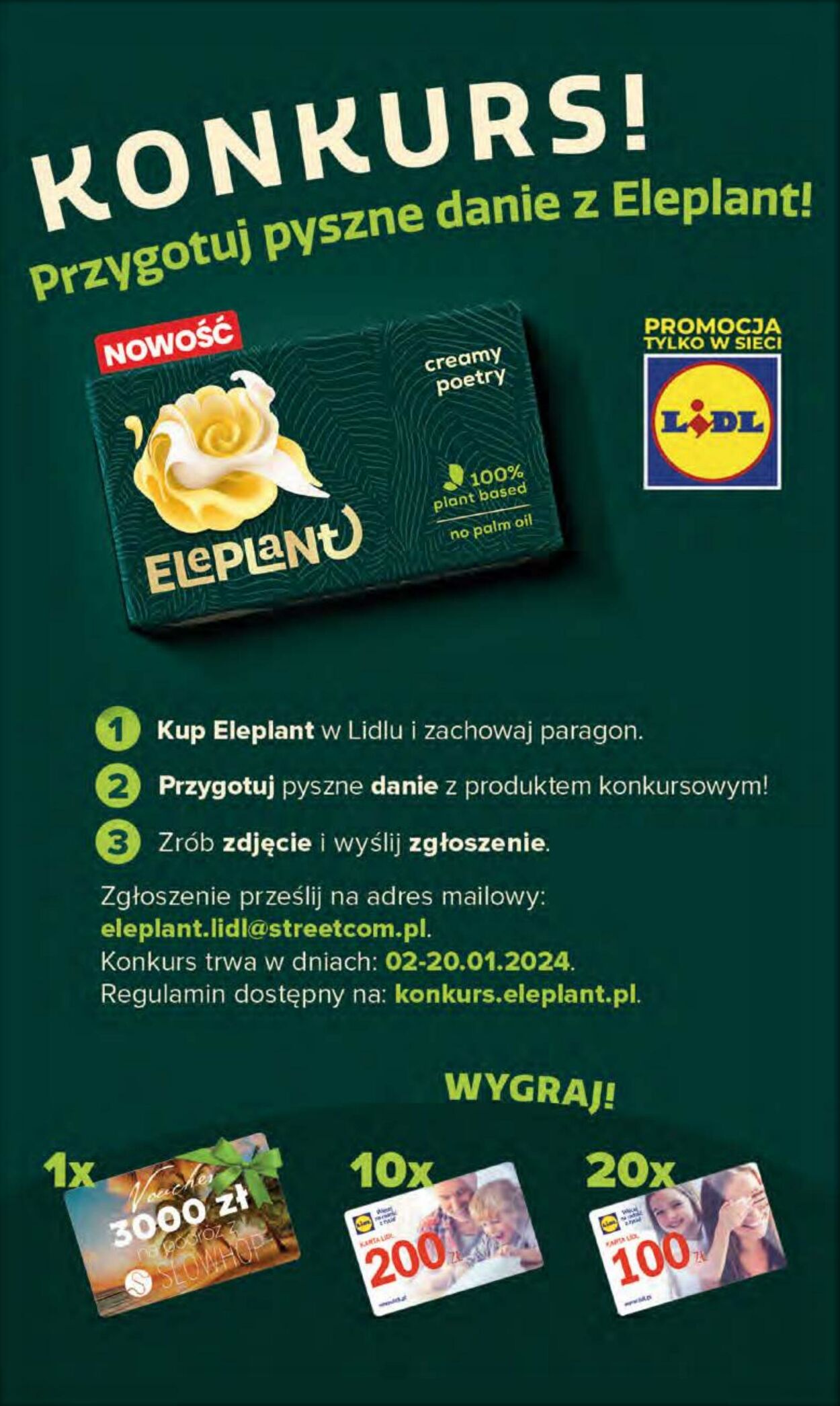 Gazetka Lidl 11.01.2024 - 13.01.2024