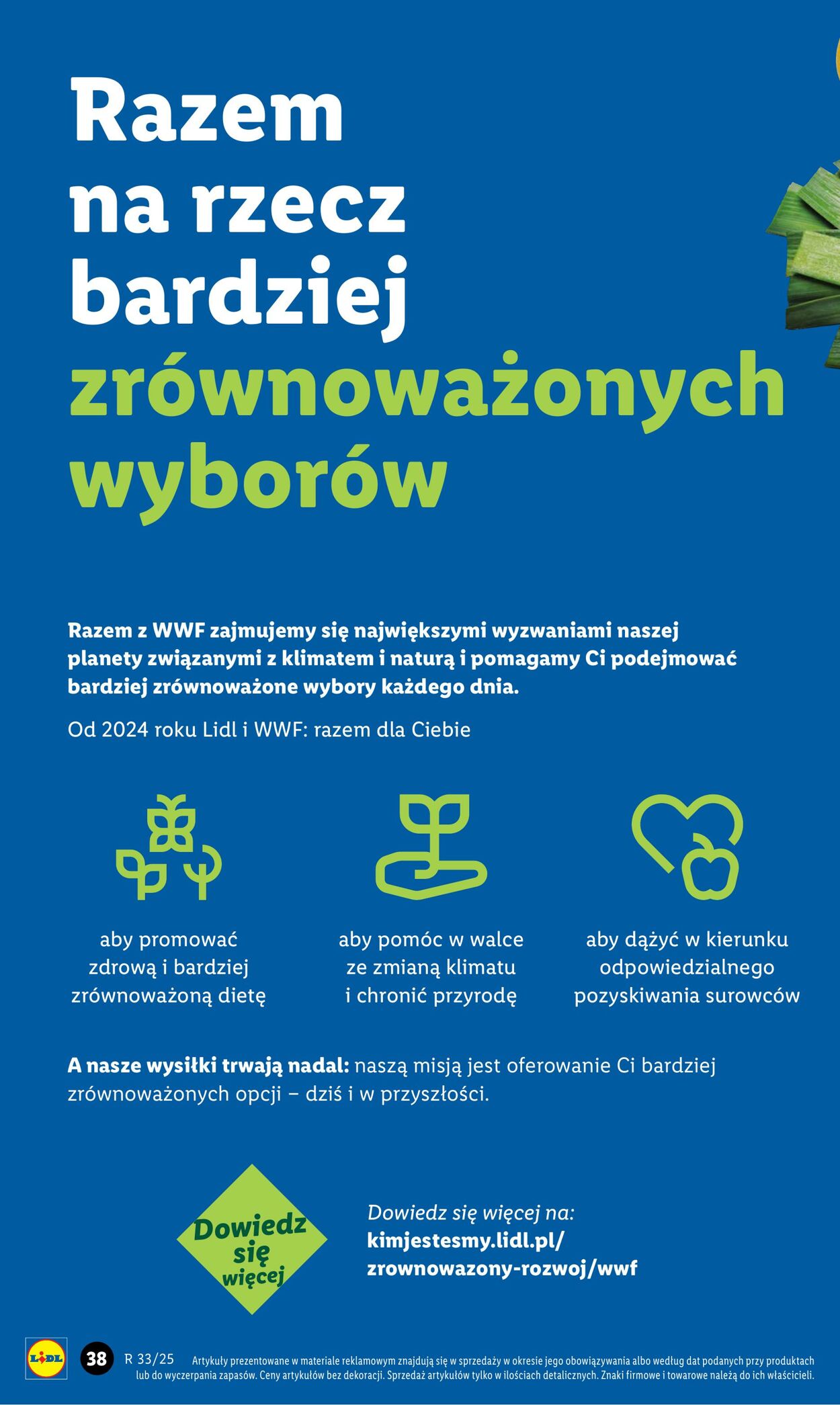 Gazetka Lidl 11.08.2025 - 16.08.2025
