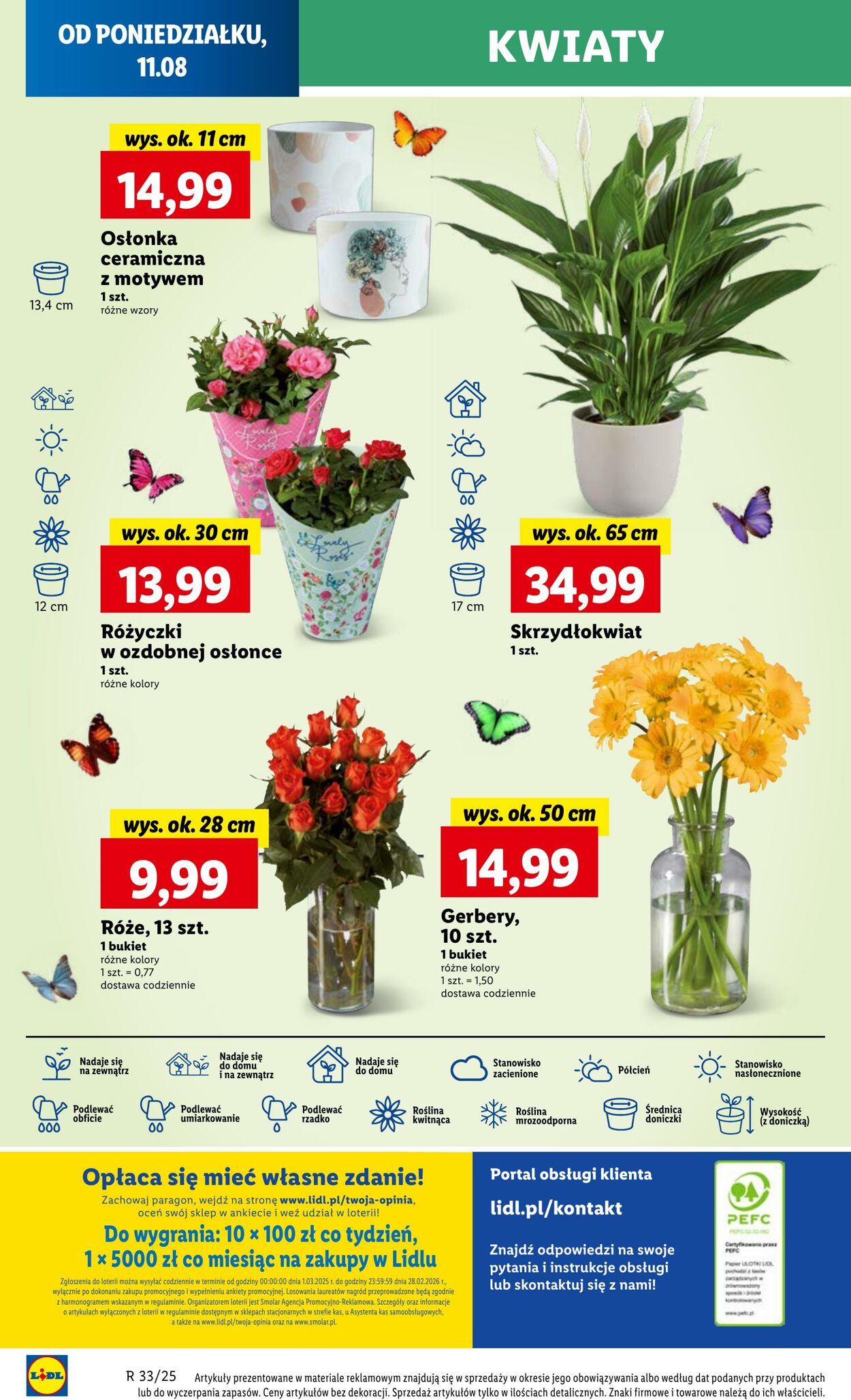 Gazetka Lidl 11.08.2025 - 12.08.2025