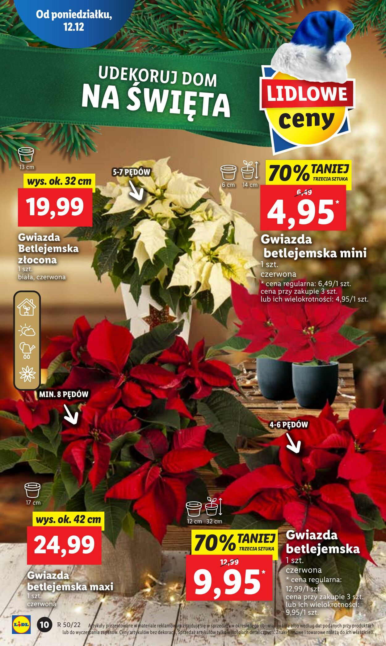 Gazetka Lidl 12.12.2022 - 14.12.2022