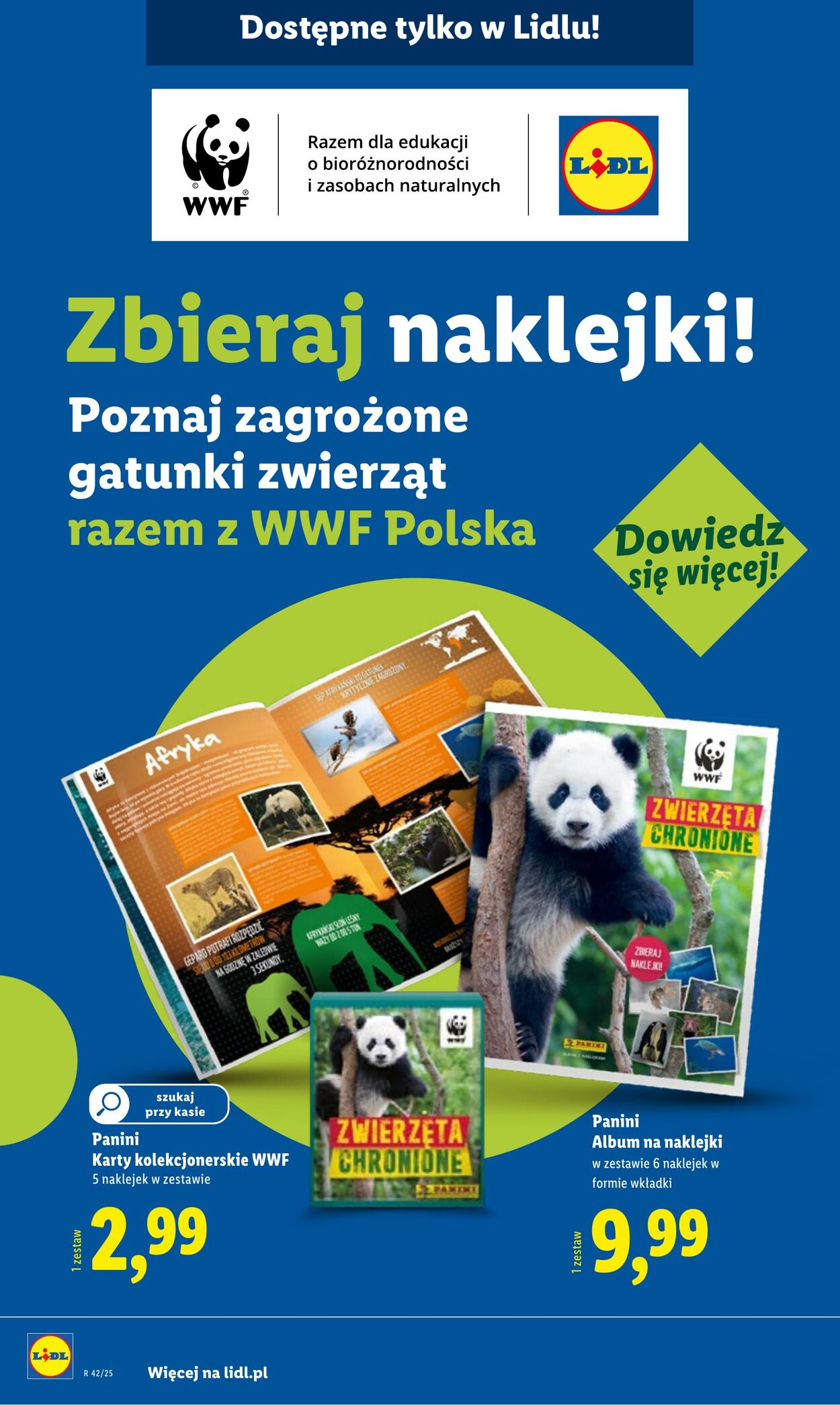 Gazetka Lidl 06.10.2025 - 19.10.2025