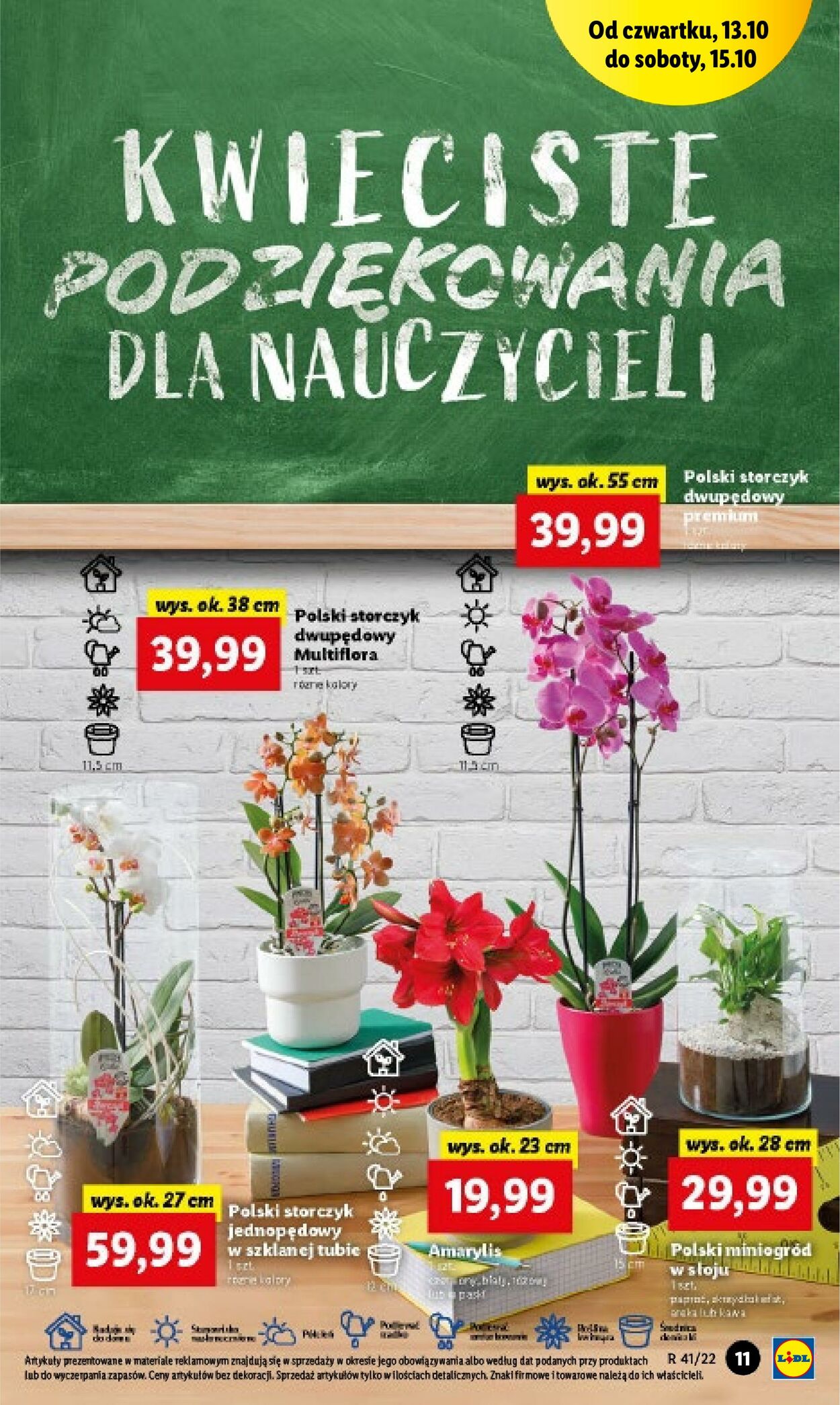 Gazetka Lidl 13.10.2022 - 15.10.2022