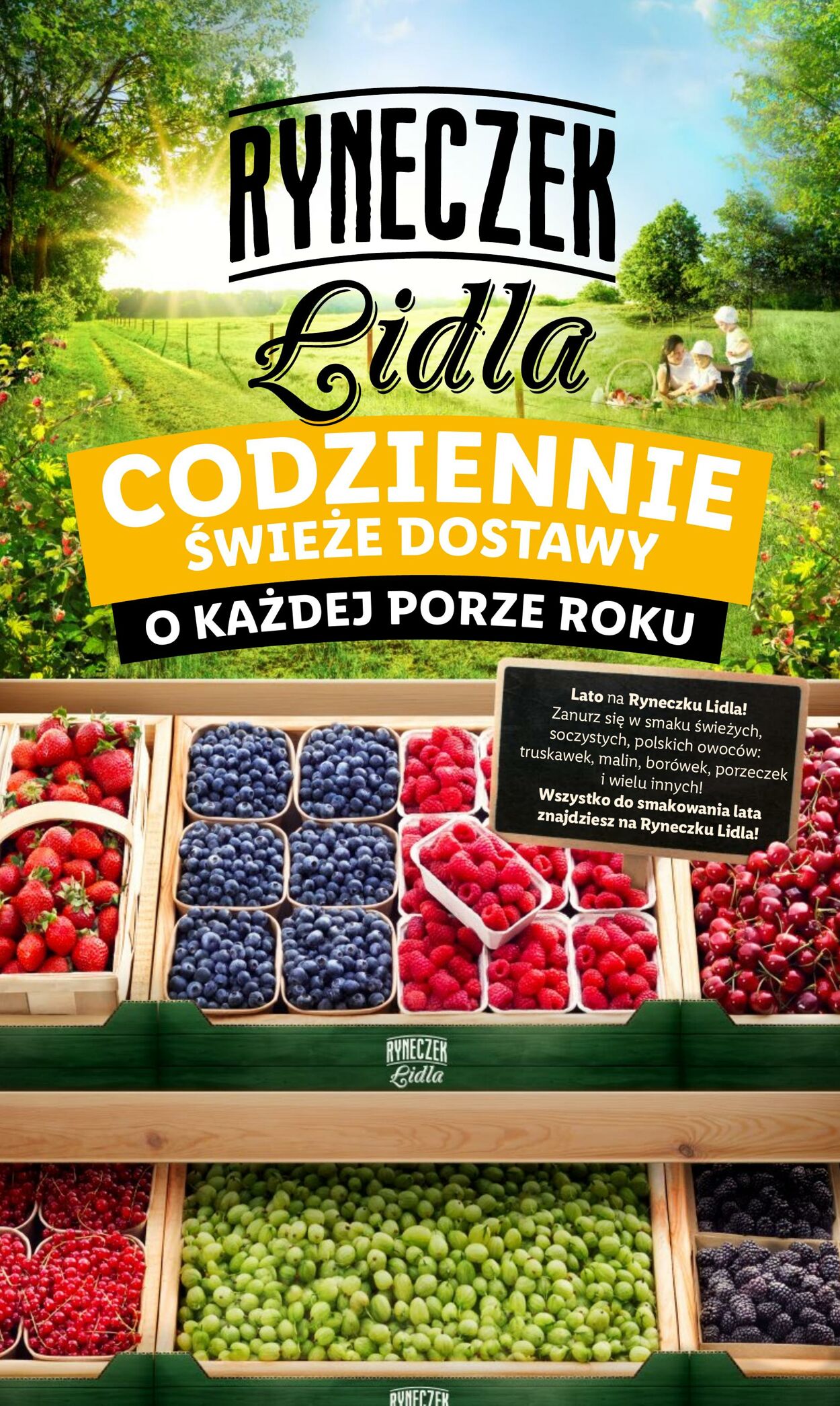 Gazetka Lidl 15.07.2024 - 17.07.2024