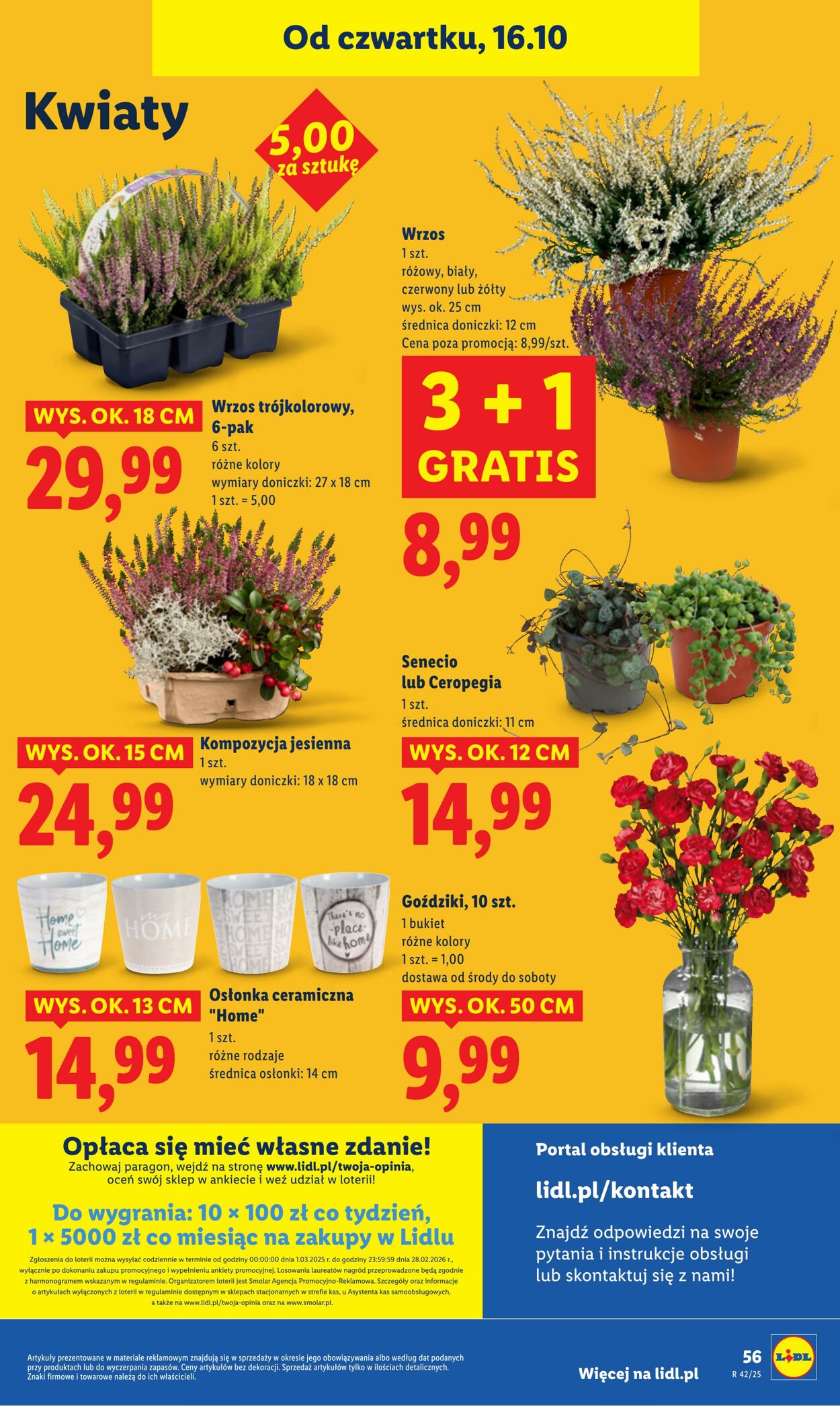 Gazetka Lidl 16.10.2025 - 18.10.2025