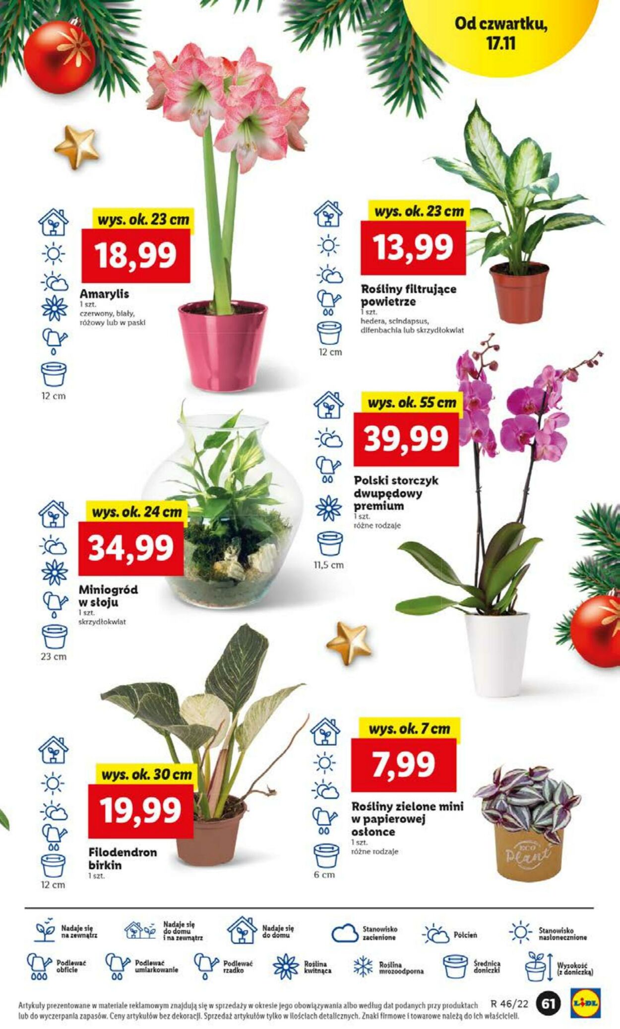 Gazetka Lidl 17.11.2022 - 19.11.2022