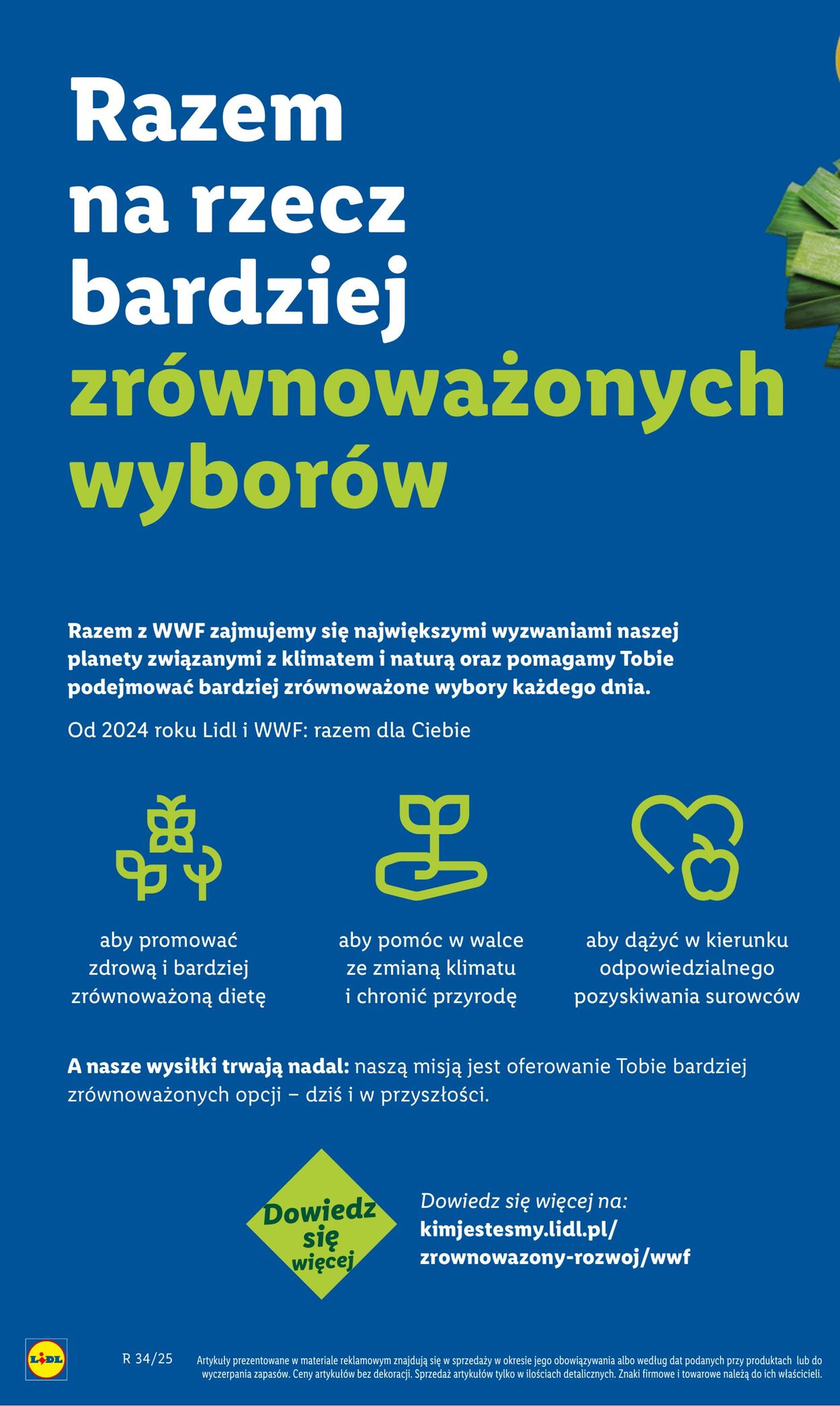Gazetka Lidl 18.08.2025 - 23.08.2025