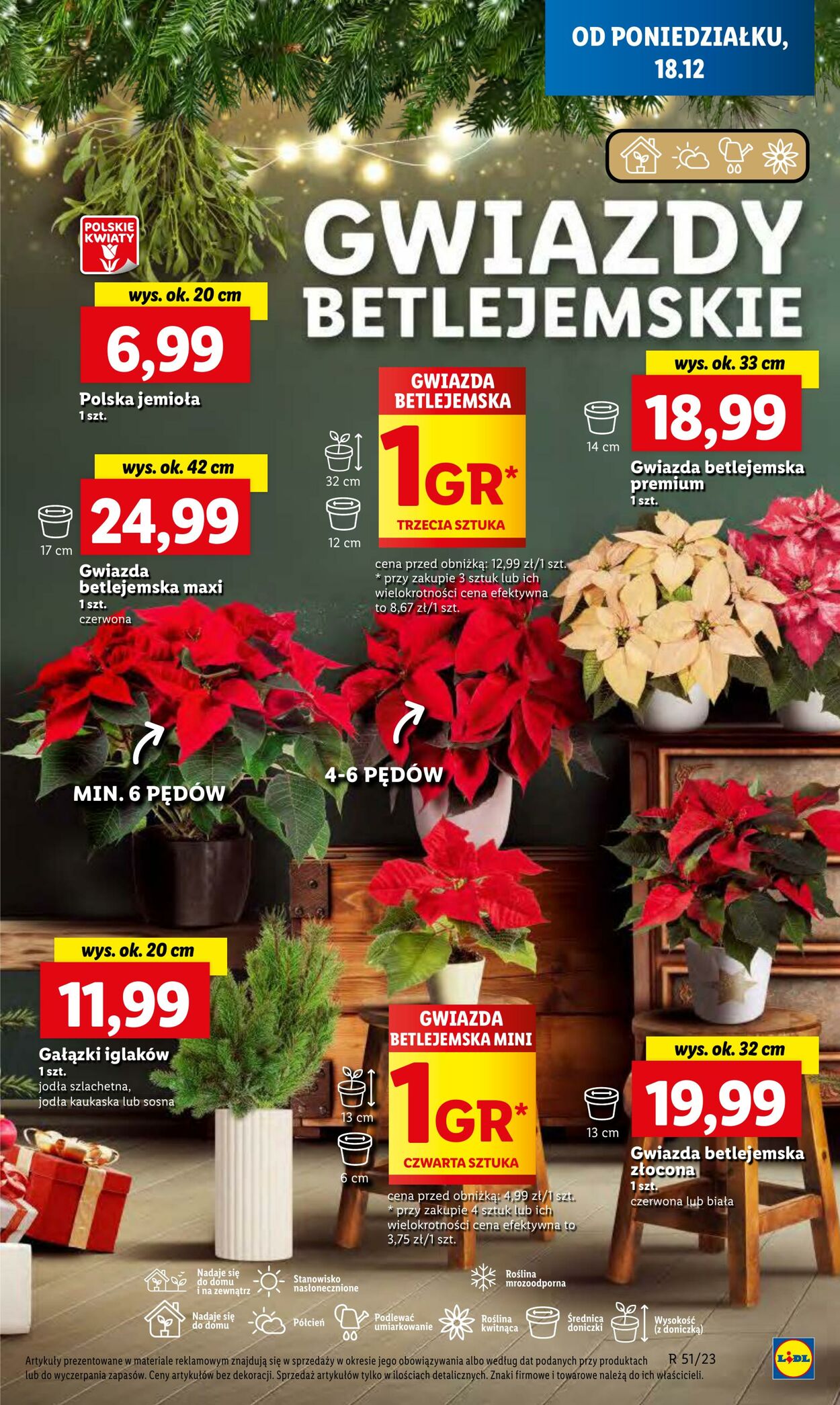 Gazetka Lidl 18.12.2023 - 20.12.2023