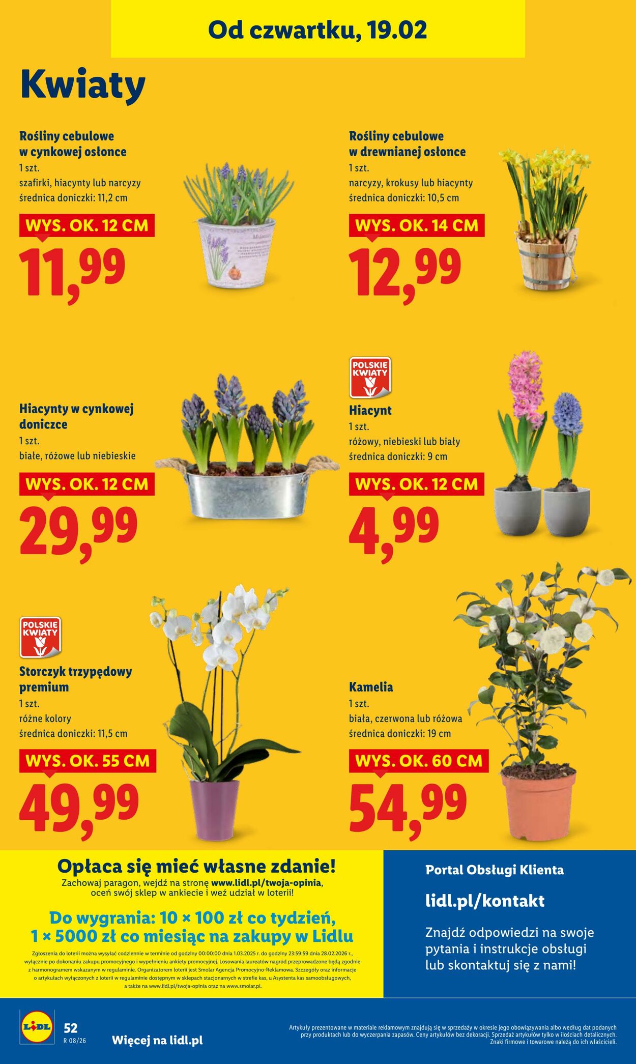 Gazetka Lidl 19.02.2026 - 21.02.2026