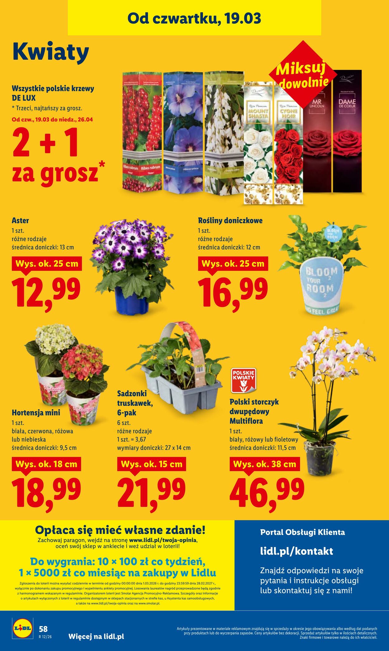 Gazetka Lidl 19.03.2026 - 21.03.2026