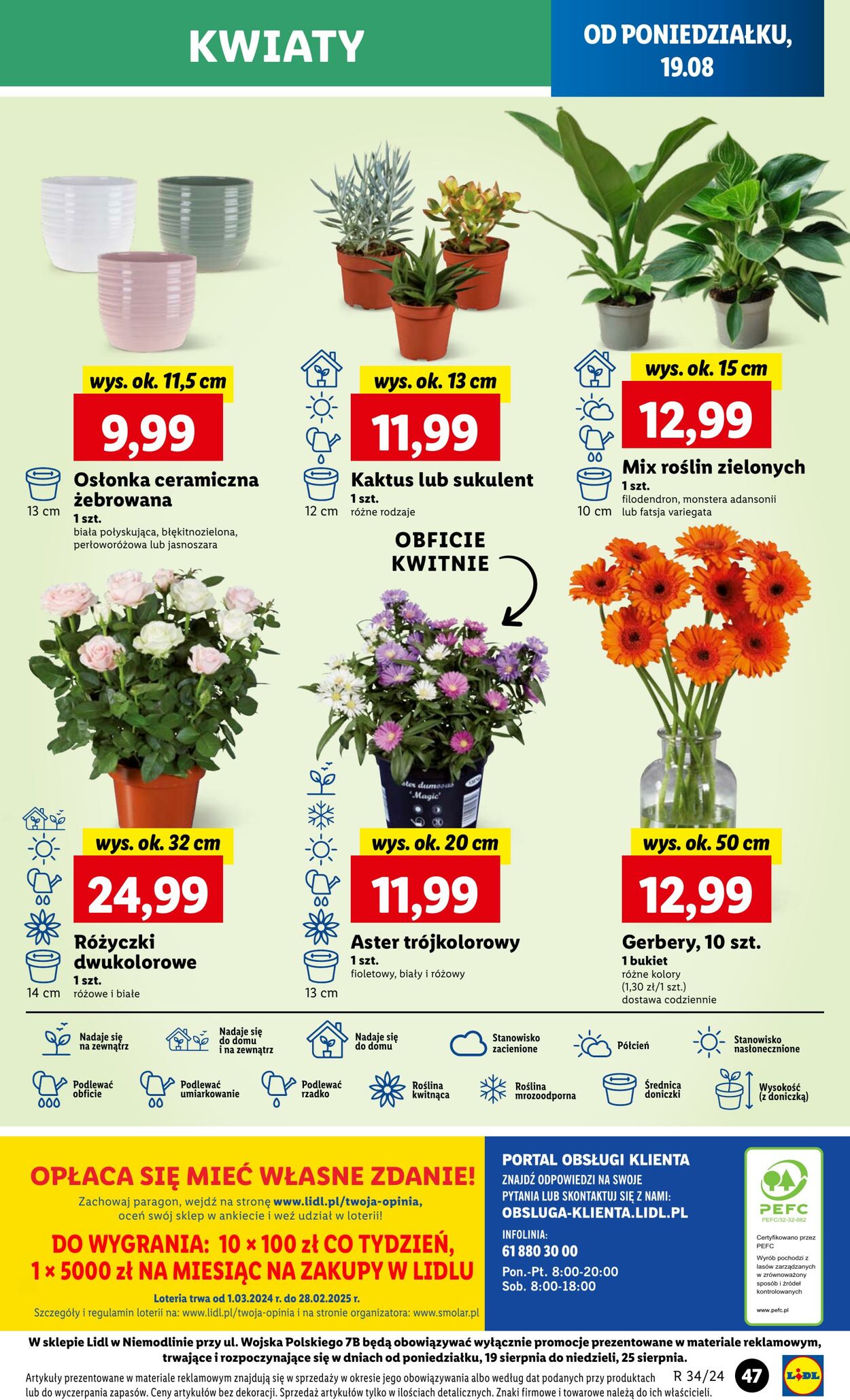 Gazetka Lidl 19.08.2024 - 21.08.2024