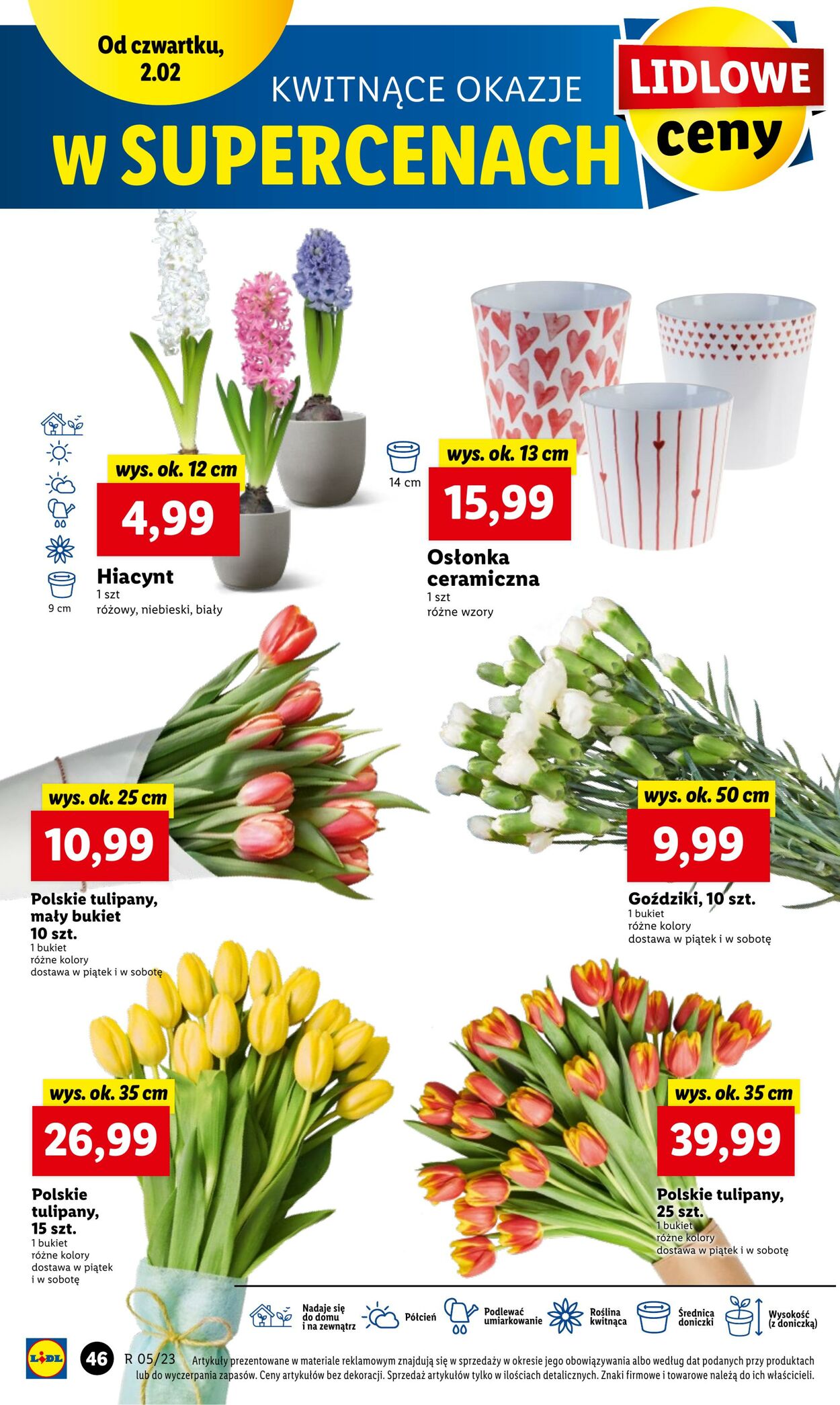 Gazetka Lidl 02.02.2023 - 04.02.2023