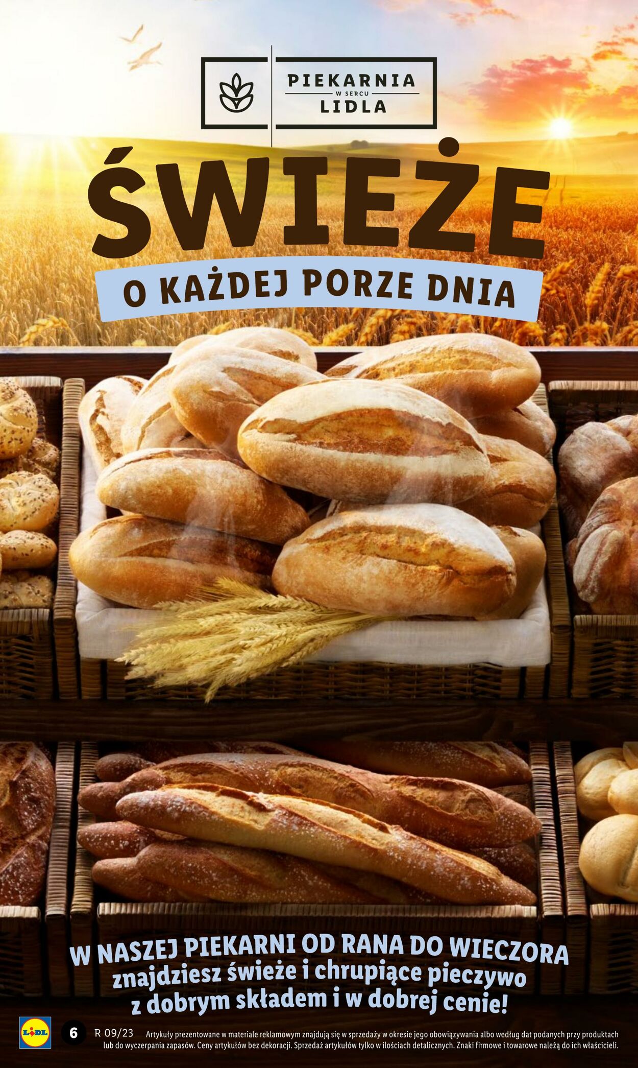 Gazetka Lidl 02.03.2023 - 04.03.2023