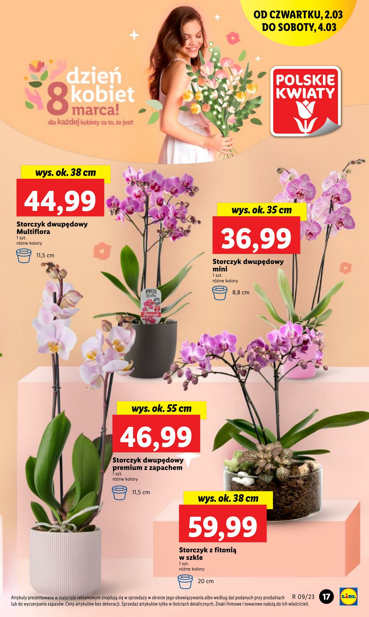 Gazetka Lidl 02.03.2023 - 04.03.2023