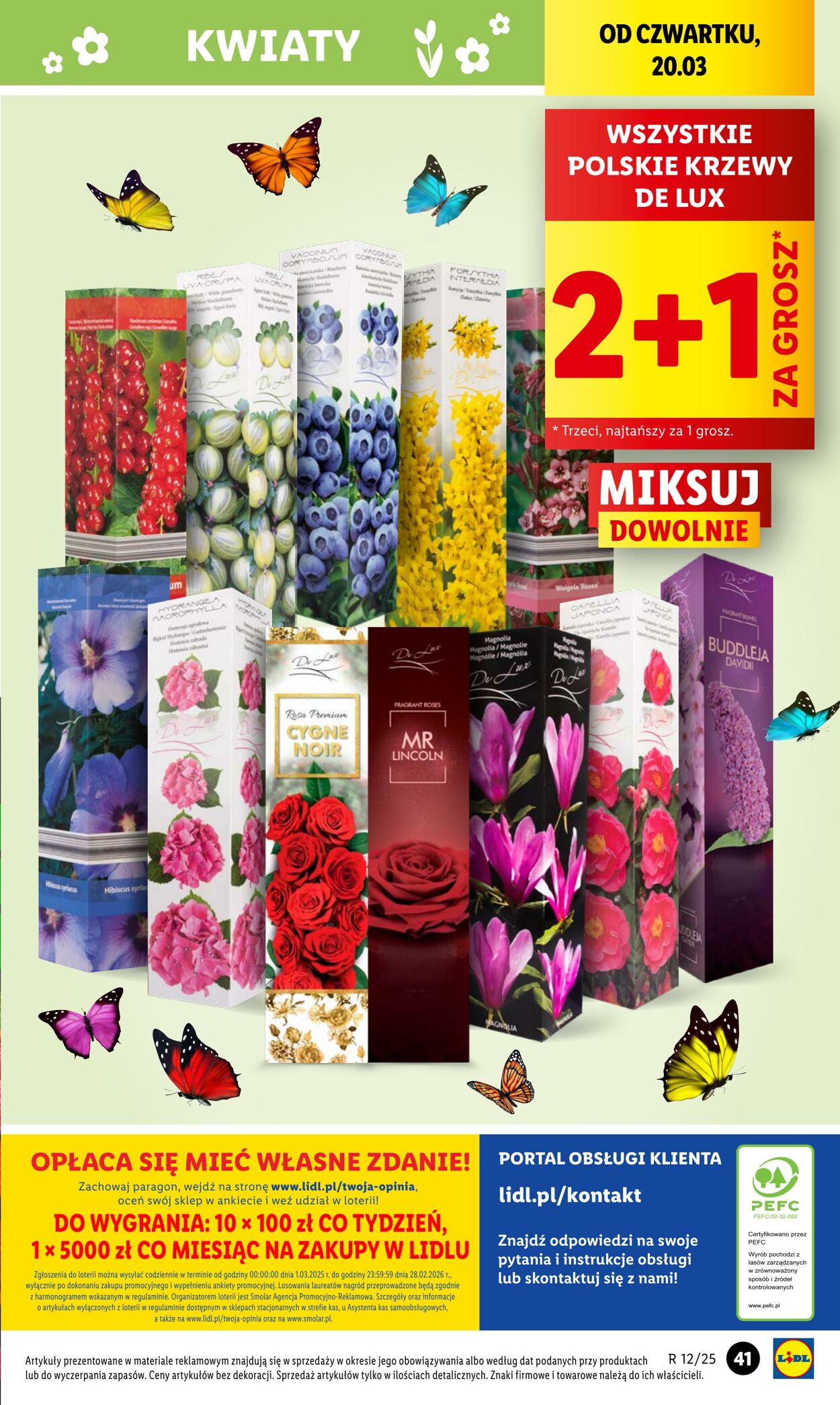 Gazetka Lidl 20.03.2025 - 22.03.2025