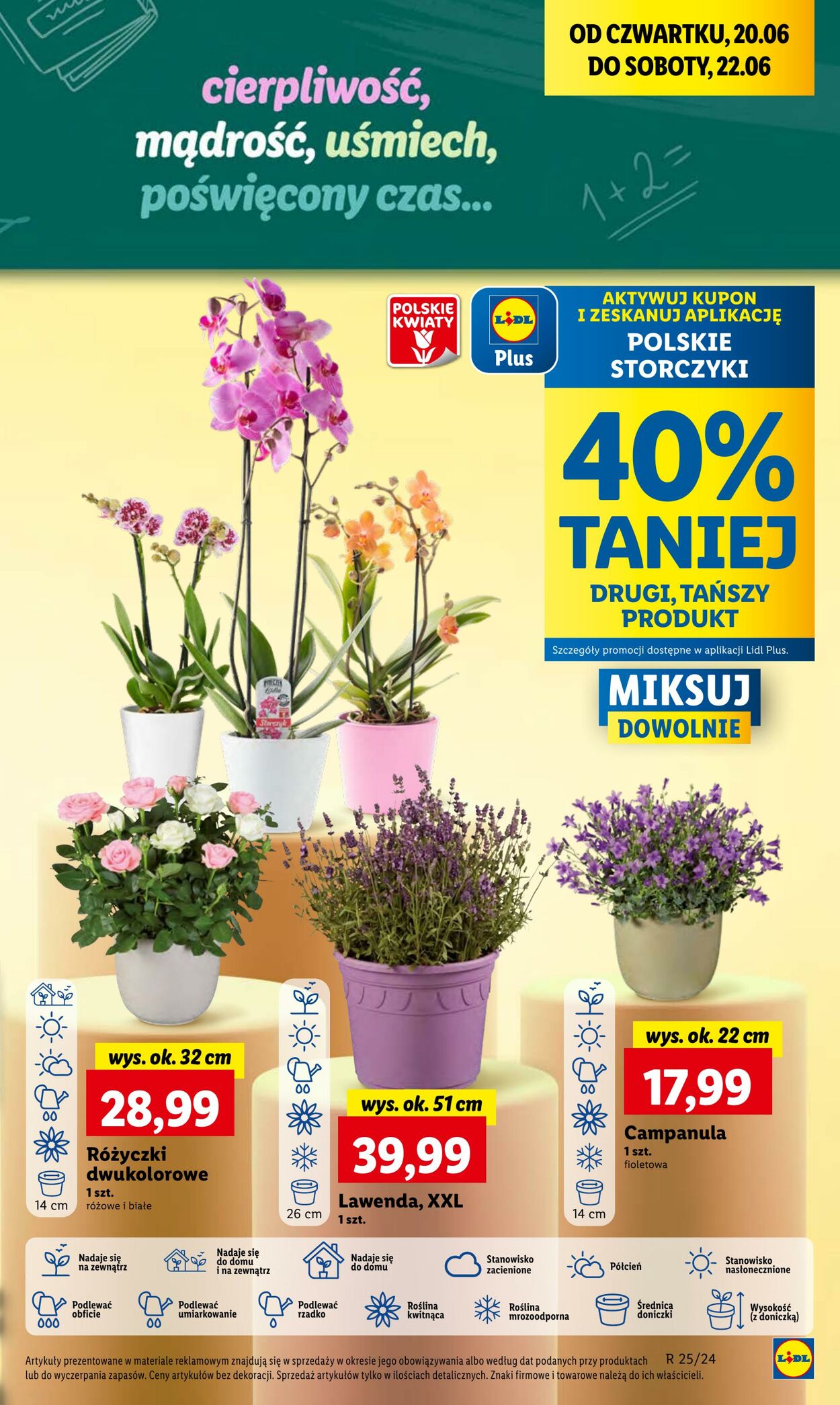 Gazetka Lidl 20.06.2024 - 22.06.2024