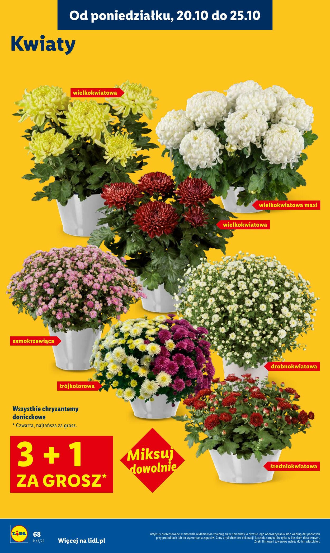 Gazetka Lidl 20.10.2025 - 22.10.2025