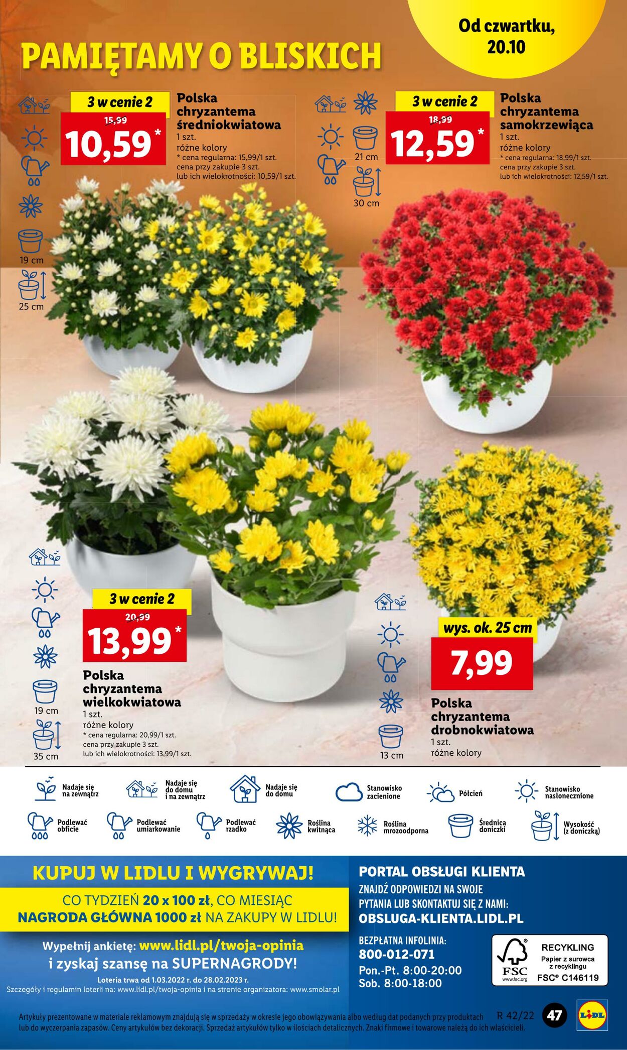 Gazetka Lidl 20.10.2022 - 22.10.2022