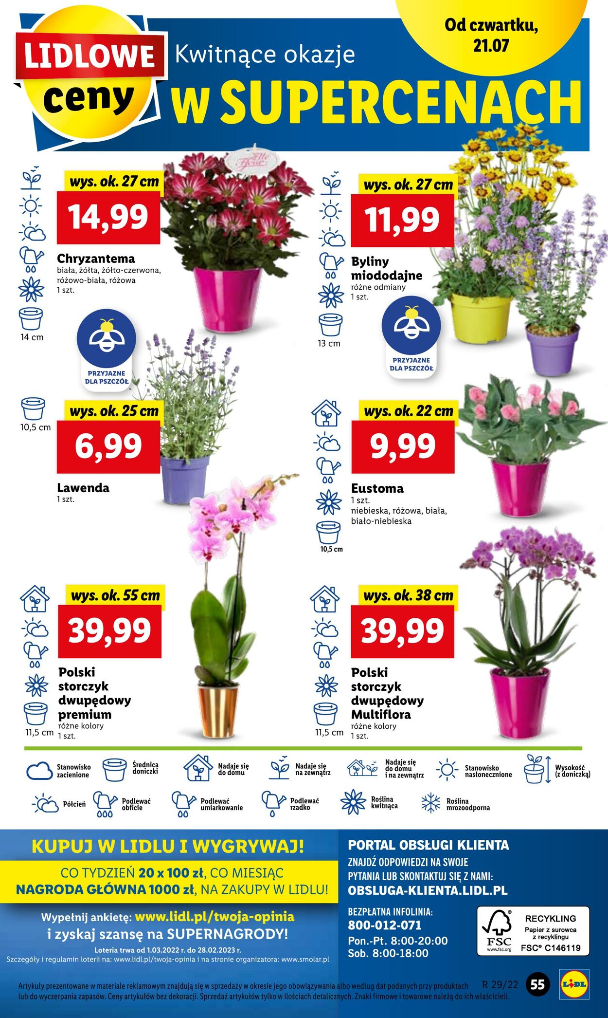 Gazetka Lidl 21.07.2022 - 23.07.2022