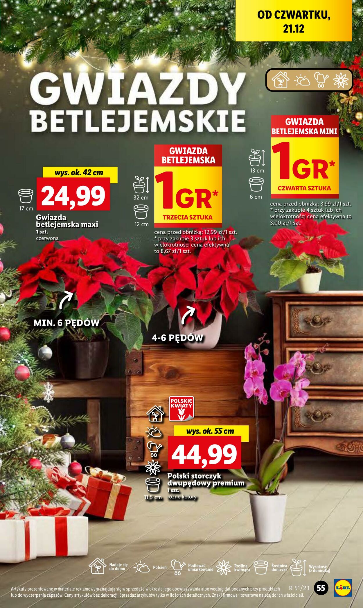 Gazetka Lidl 21.12.2023 - 23.12.2023