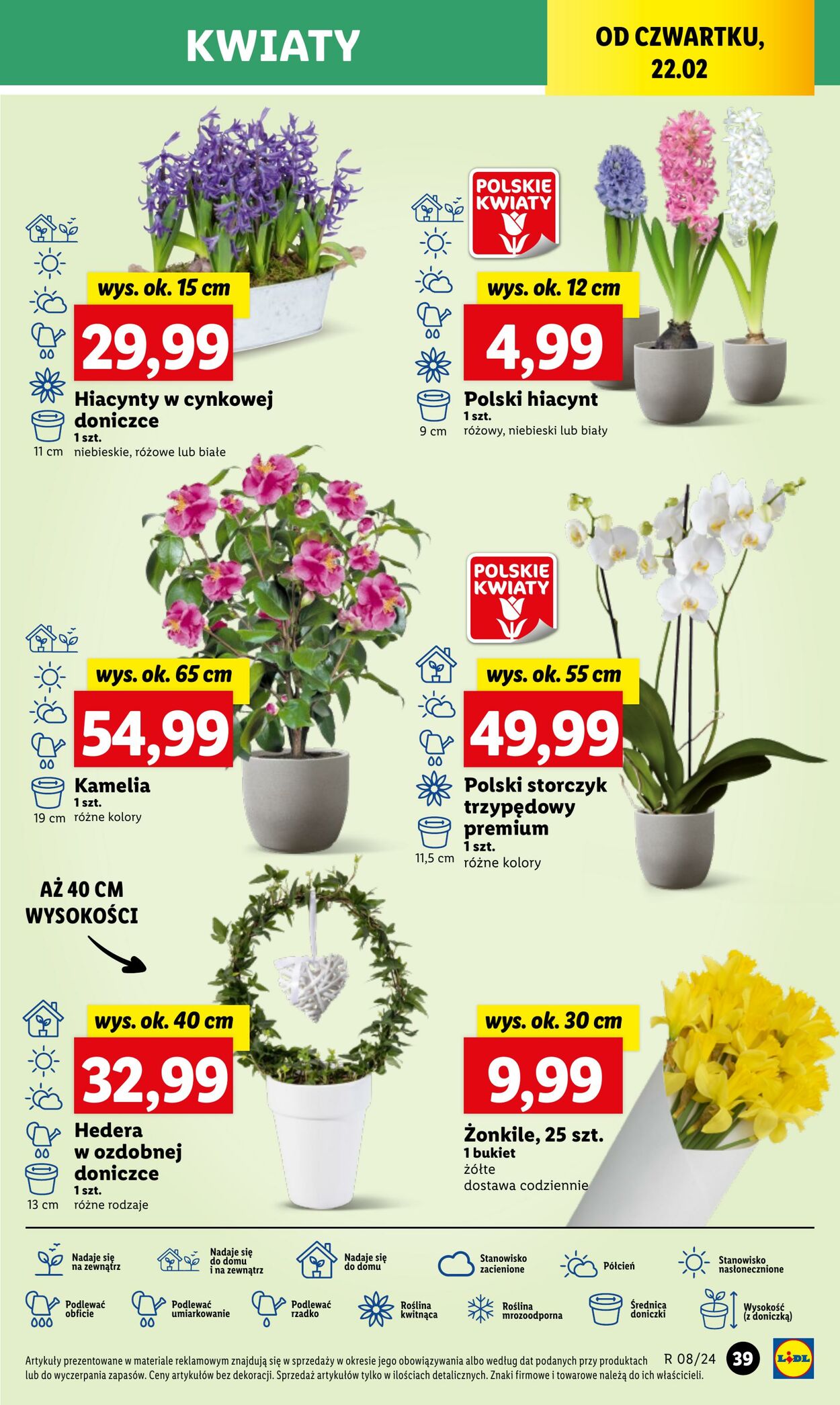 Gazetka Lidl 22.02.2024 - 24.02.2024