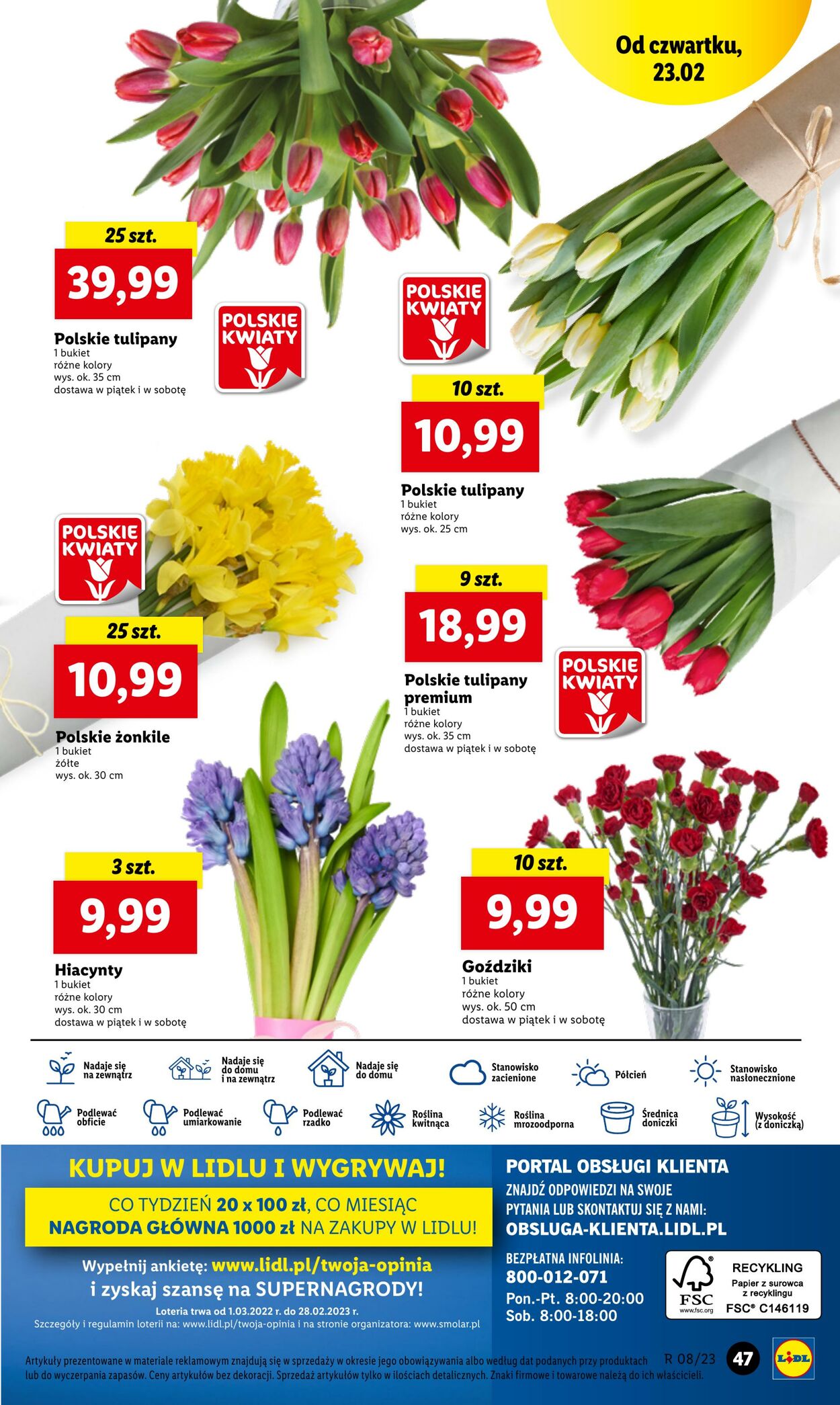 Gazetka Lidl 23.02.2023 - 25.02.2023