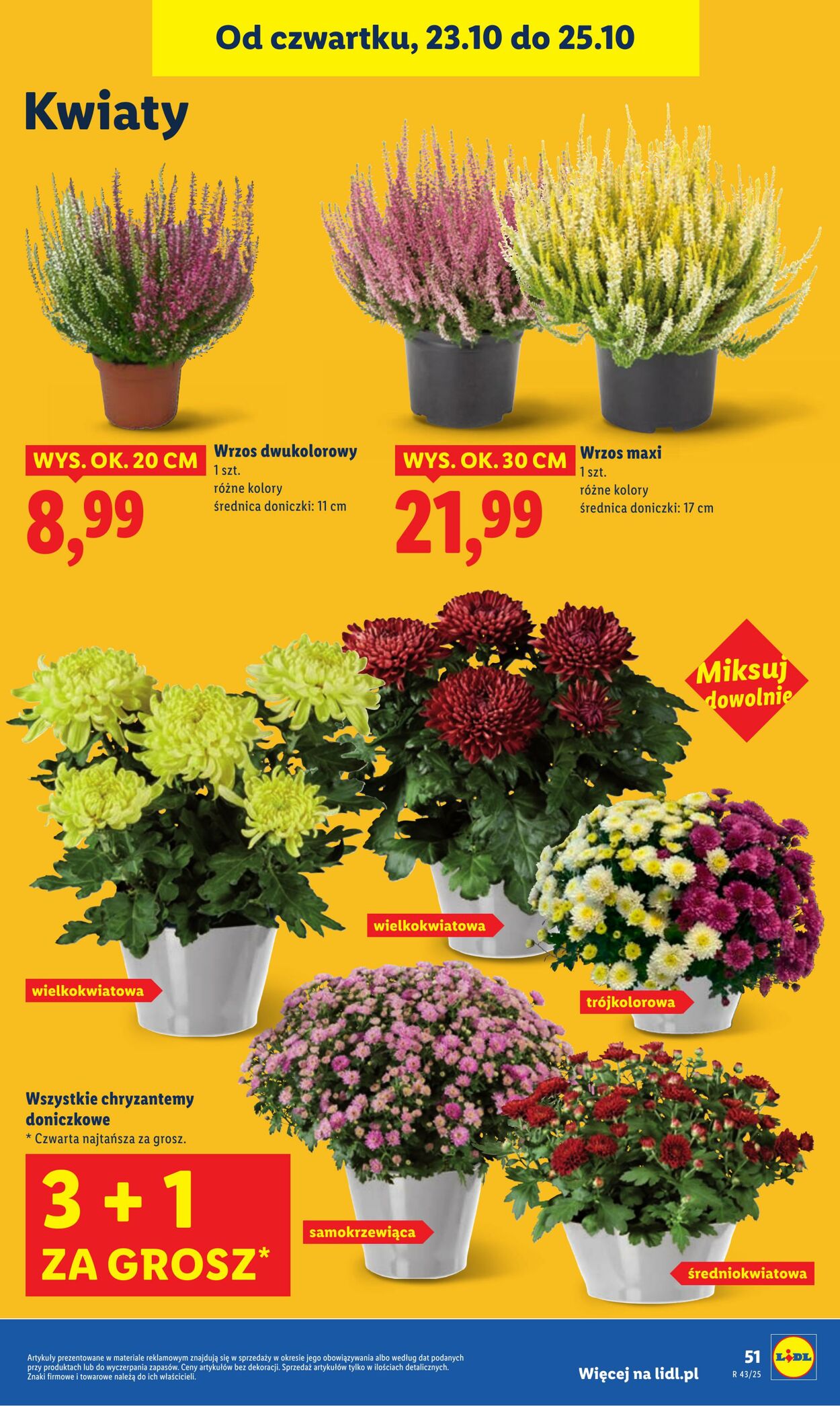Gazetka Lidl 23.10.2025 - 25.10.2025