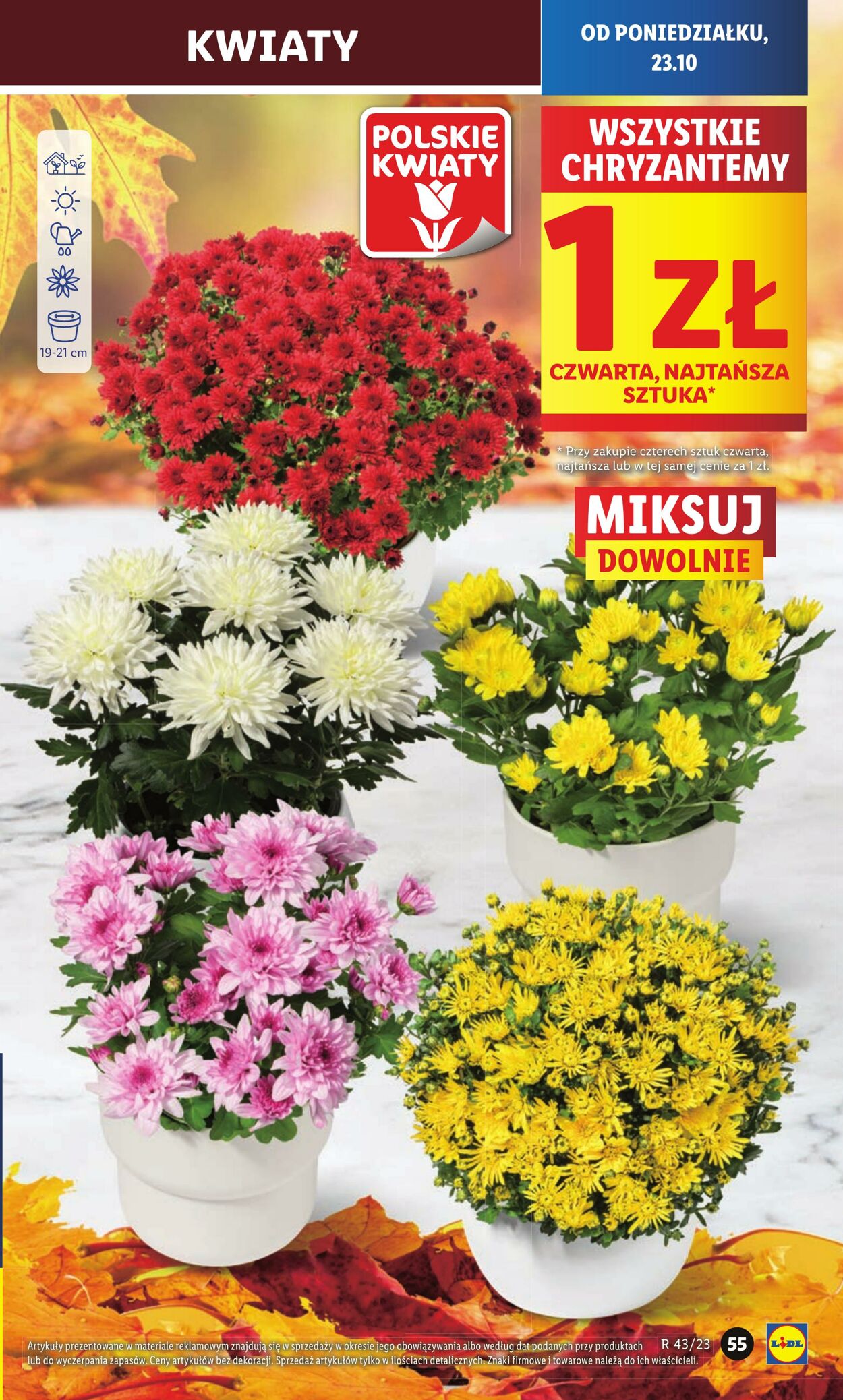 Gazetka Lidl 23.10.2023 - 25.10.2023