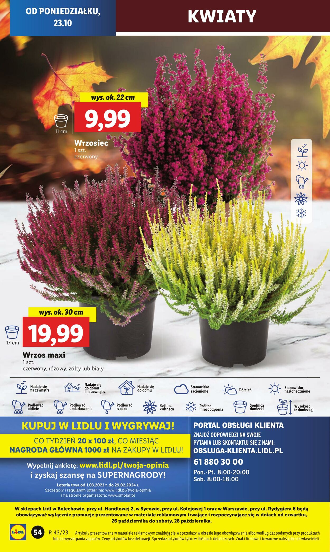 Gazetka Lidl 23.10.2023 - 25.10.2023