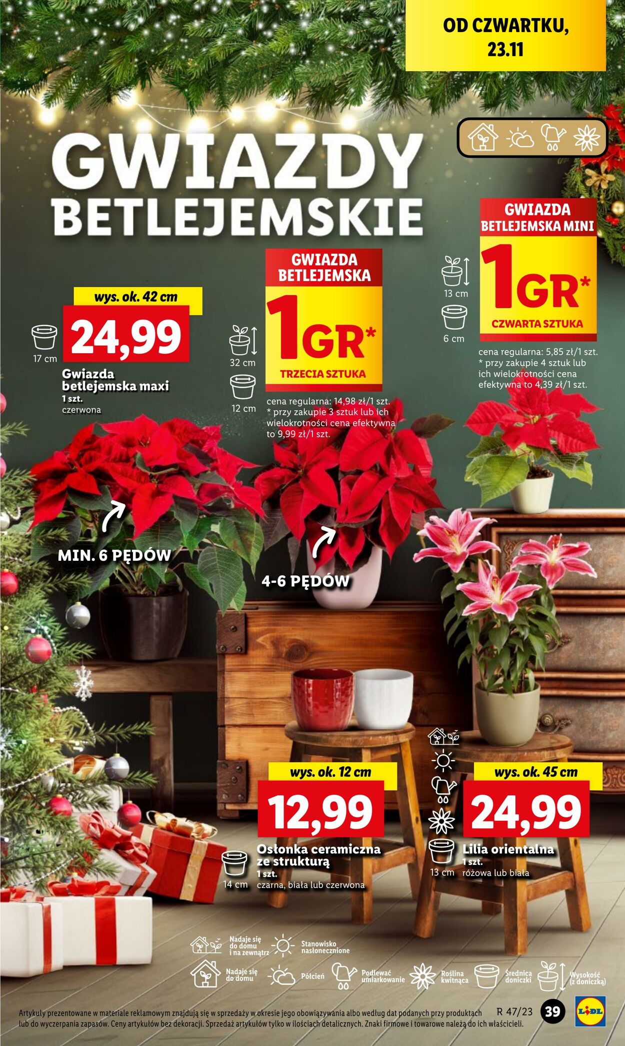 Gazetka Lidl 23.11.2023 - 25.11.2023