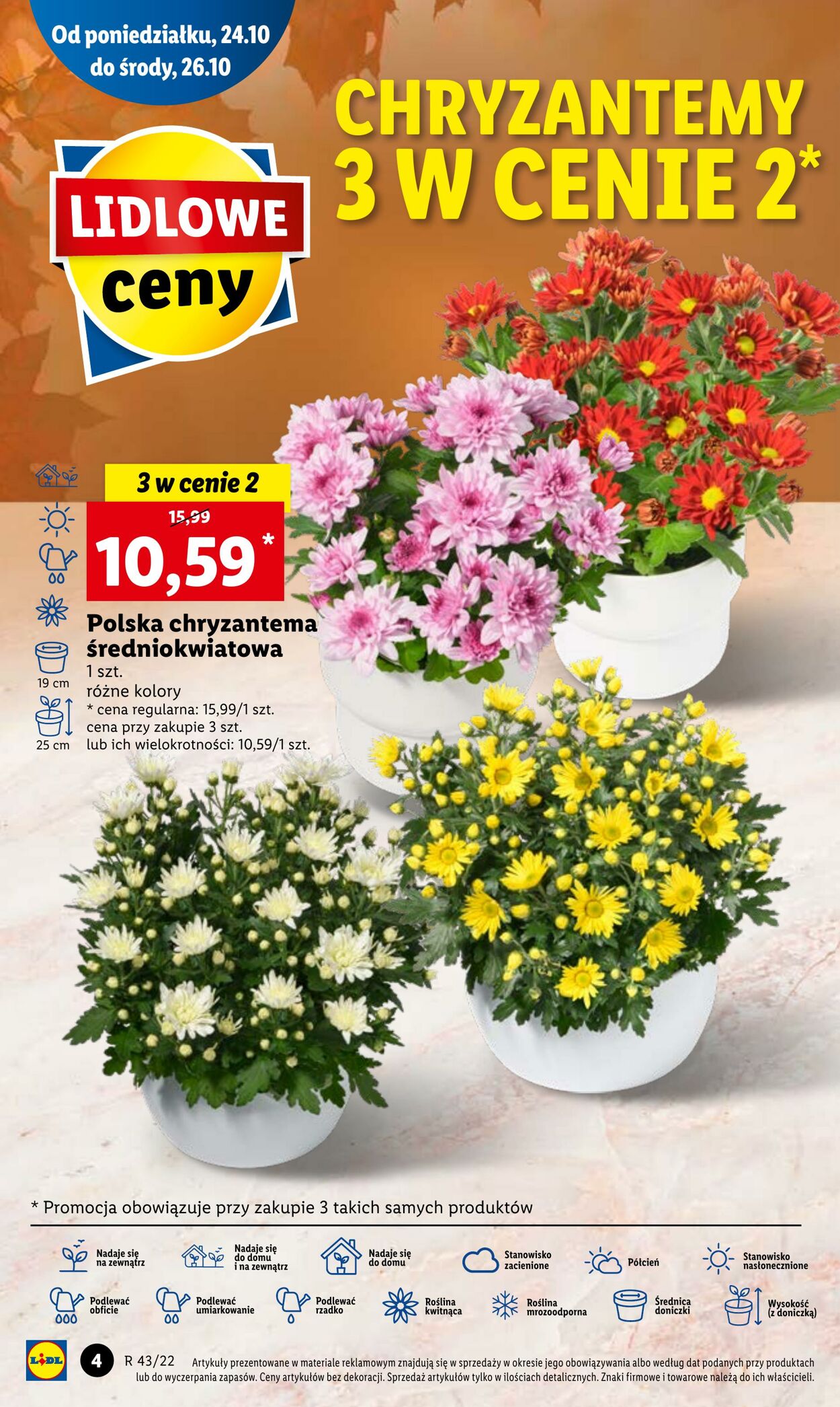 Gazetka Lidl 24.10.2022 - 26.10.2022