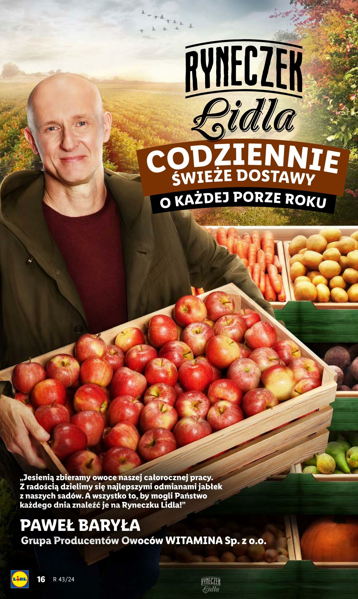 Gazetka Lidl 24.10.2024 - 26.10.2024