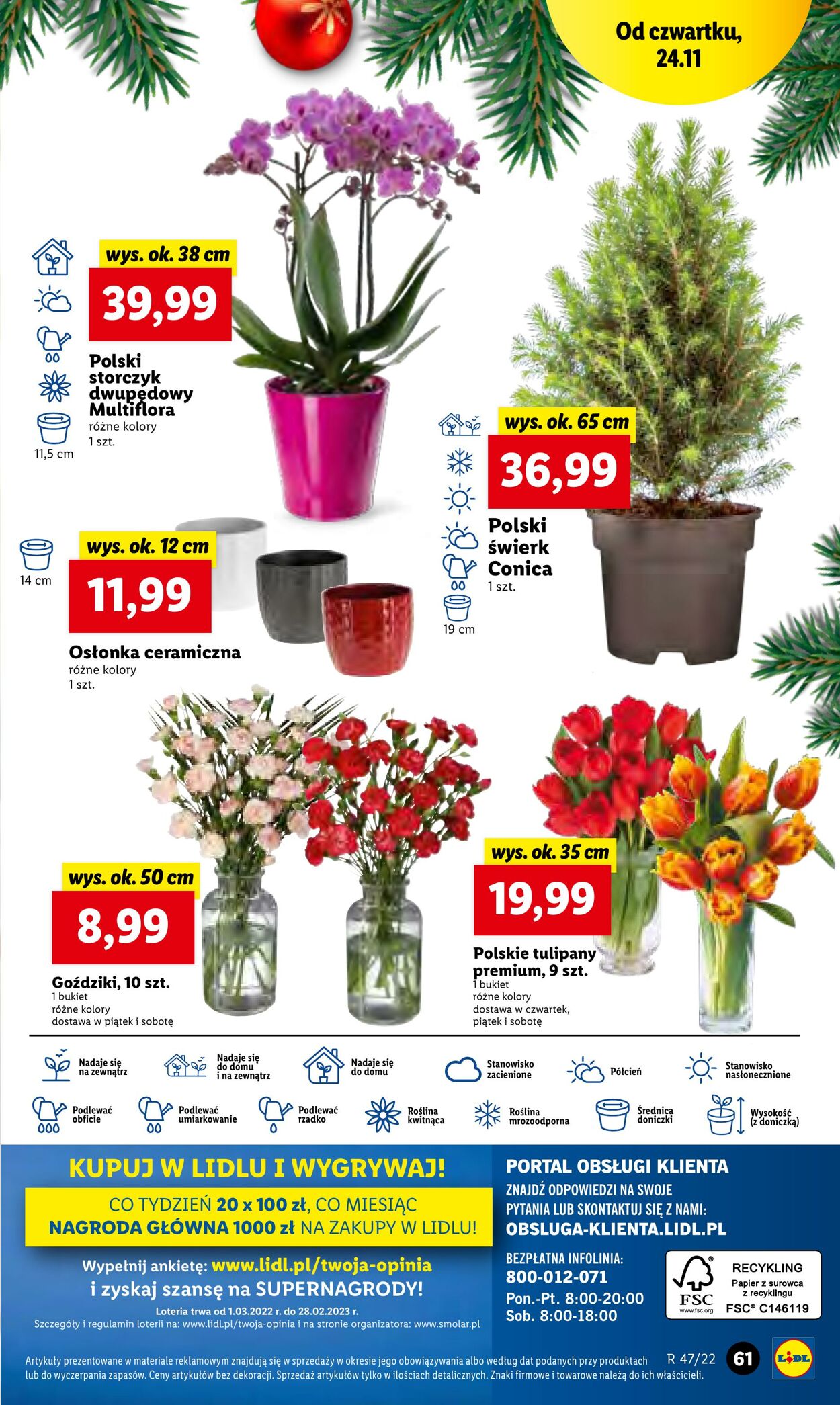 Gazetka Lidl 24.11.2022 - 26.11.2022