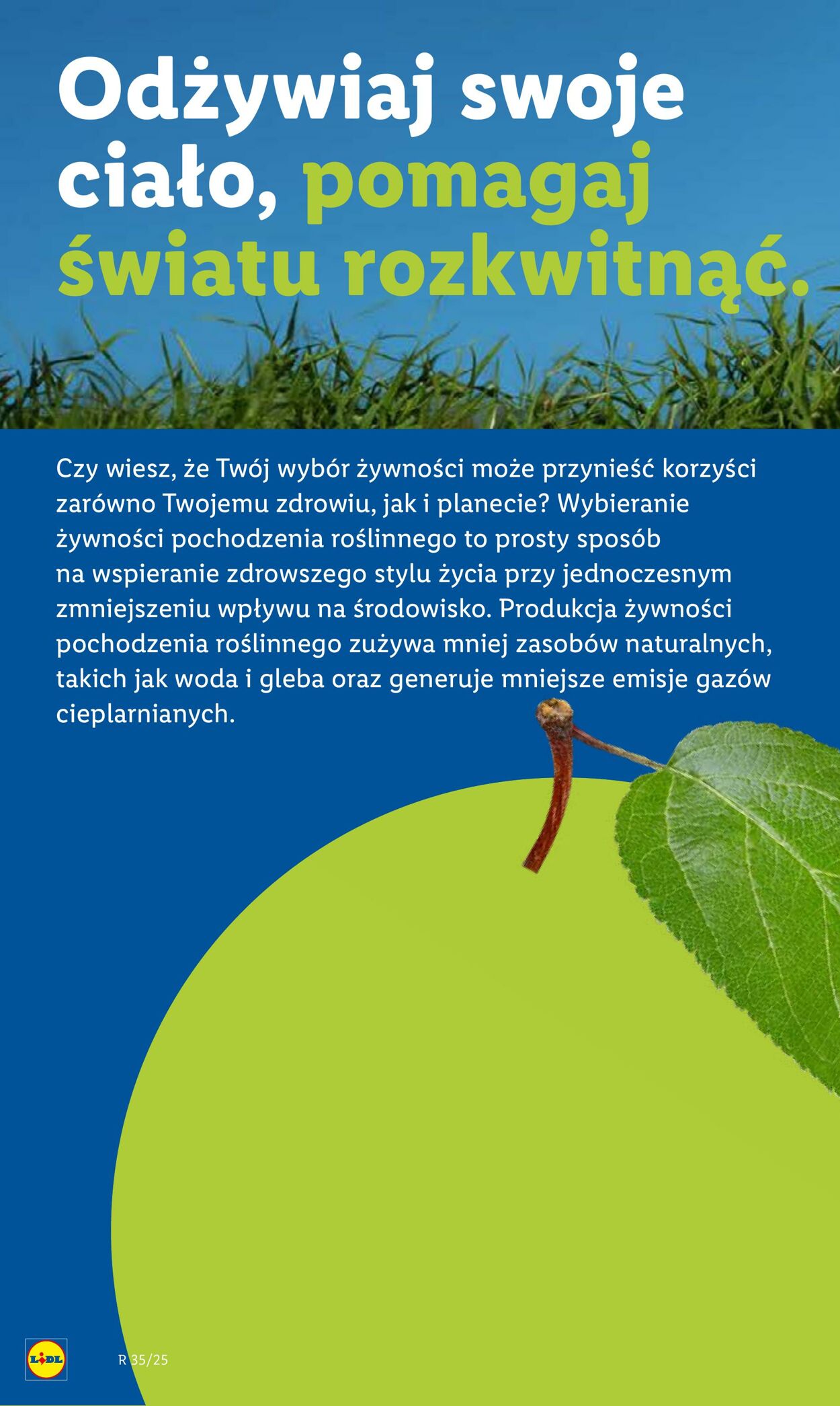 Gazetka Lidl 25.08.2025 - 30.08.2025