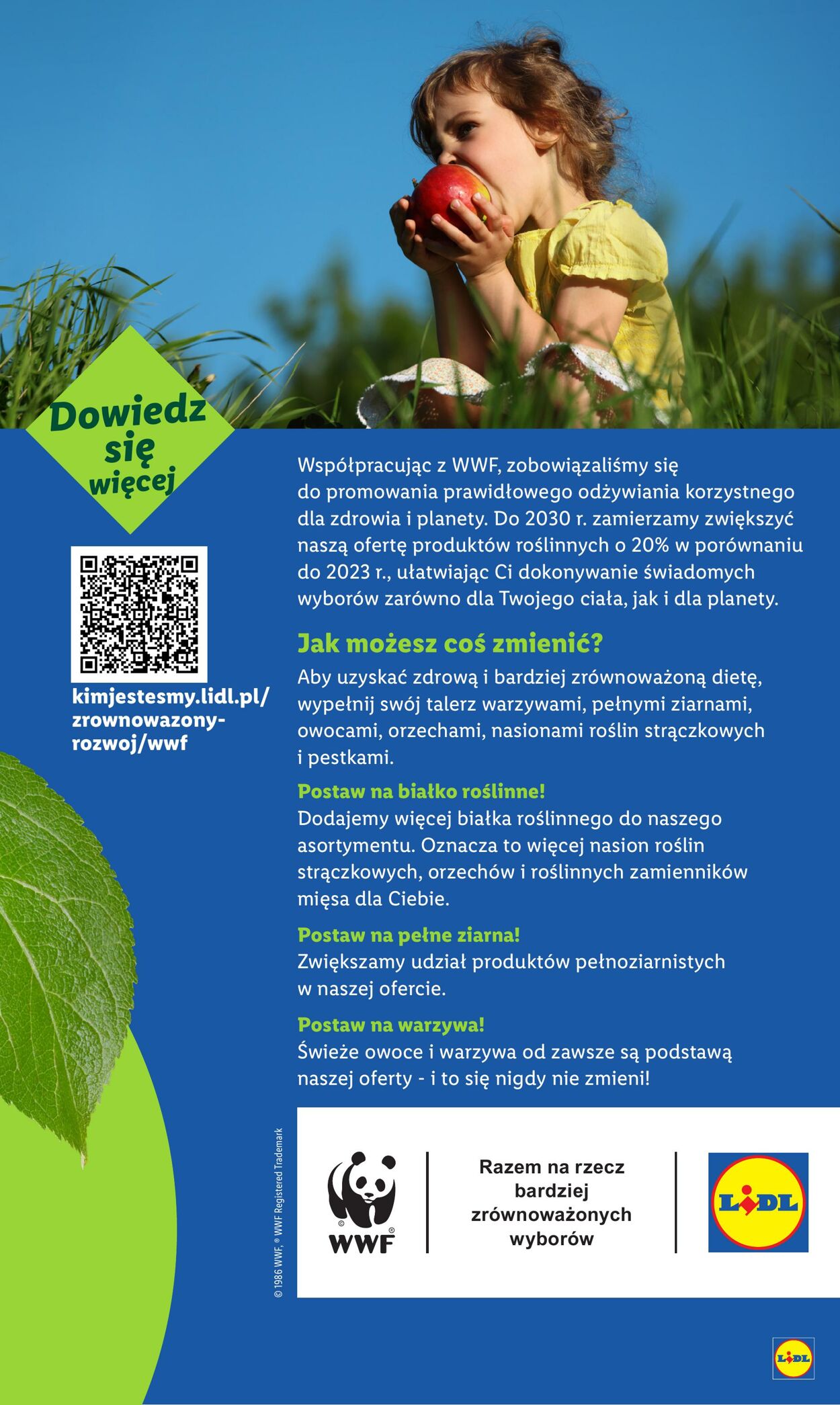 Gazetka Lidl 25.08.2025 - 30.08.2025