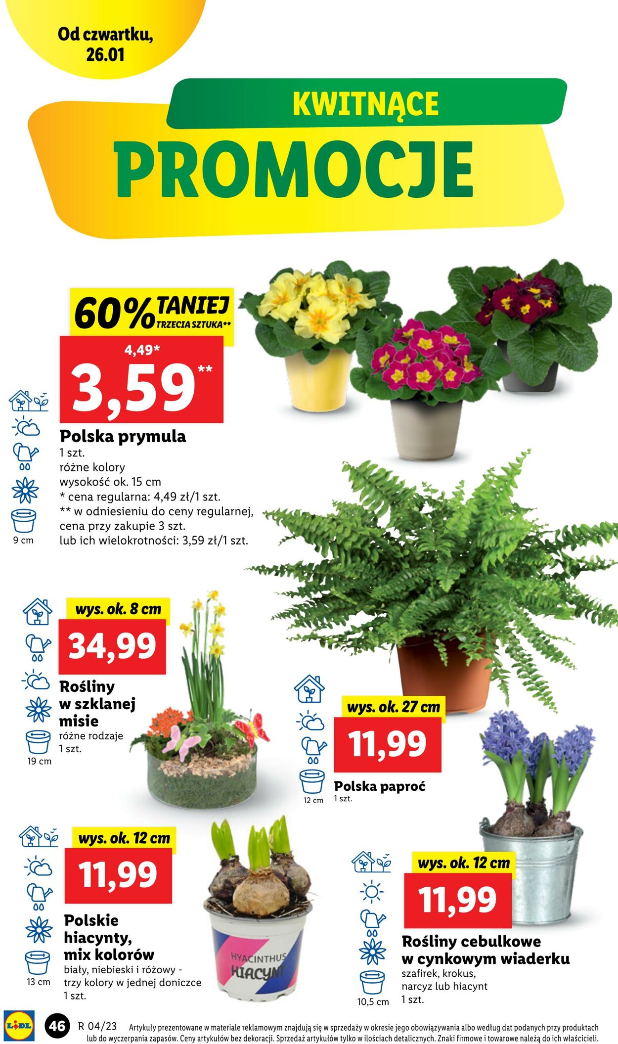 Gazetka Lidl 26.01.2023 - 29.01.2023