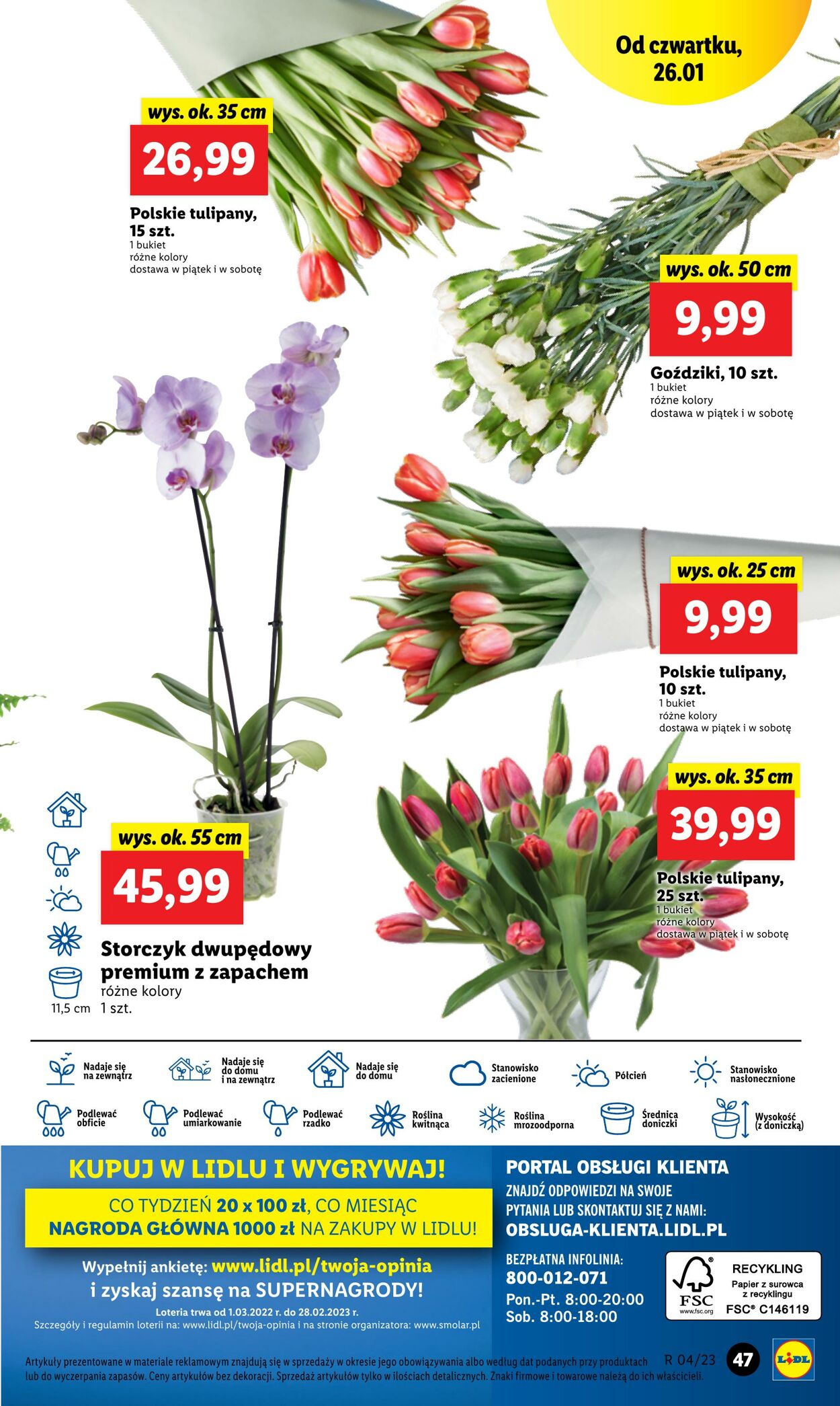 Gazetka Lidl 26.01.2023 - 29.01.2023