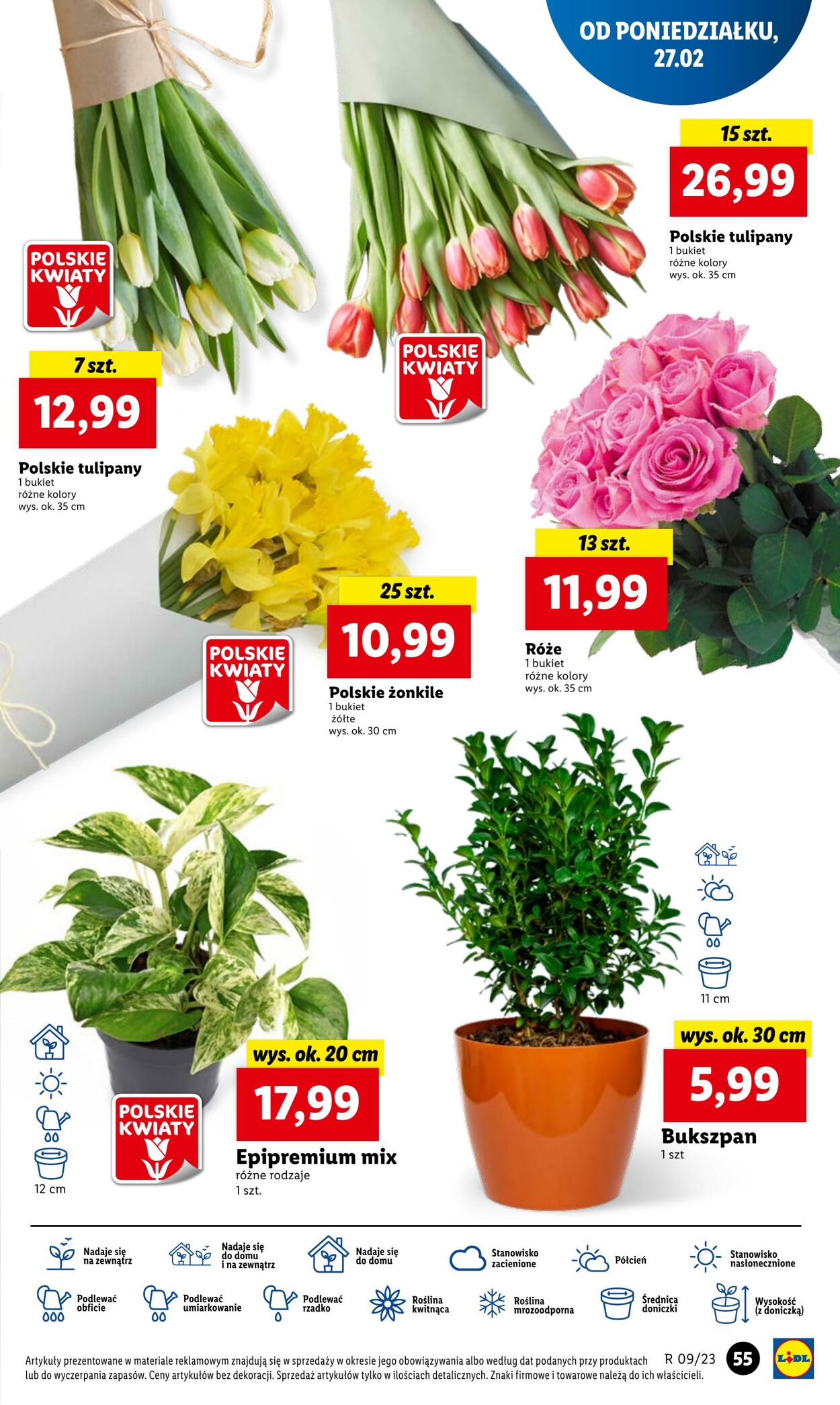 Gazetka Lidl 27.02.2023 - 01.03.2023