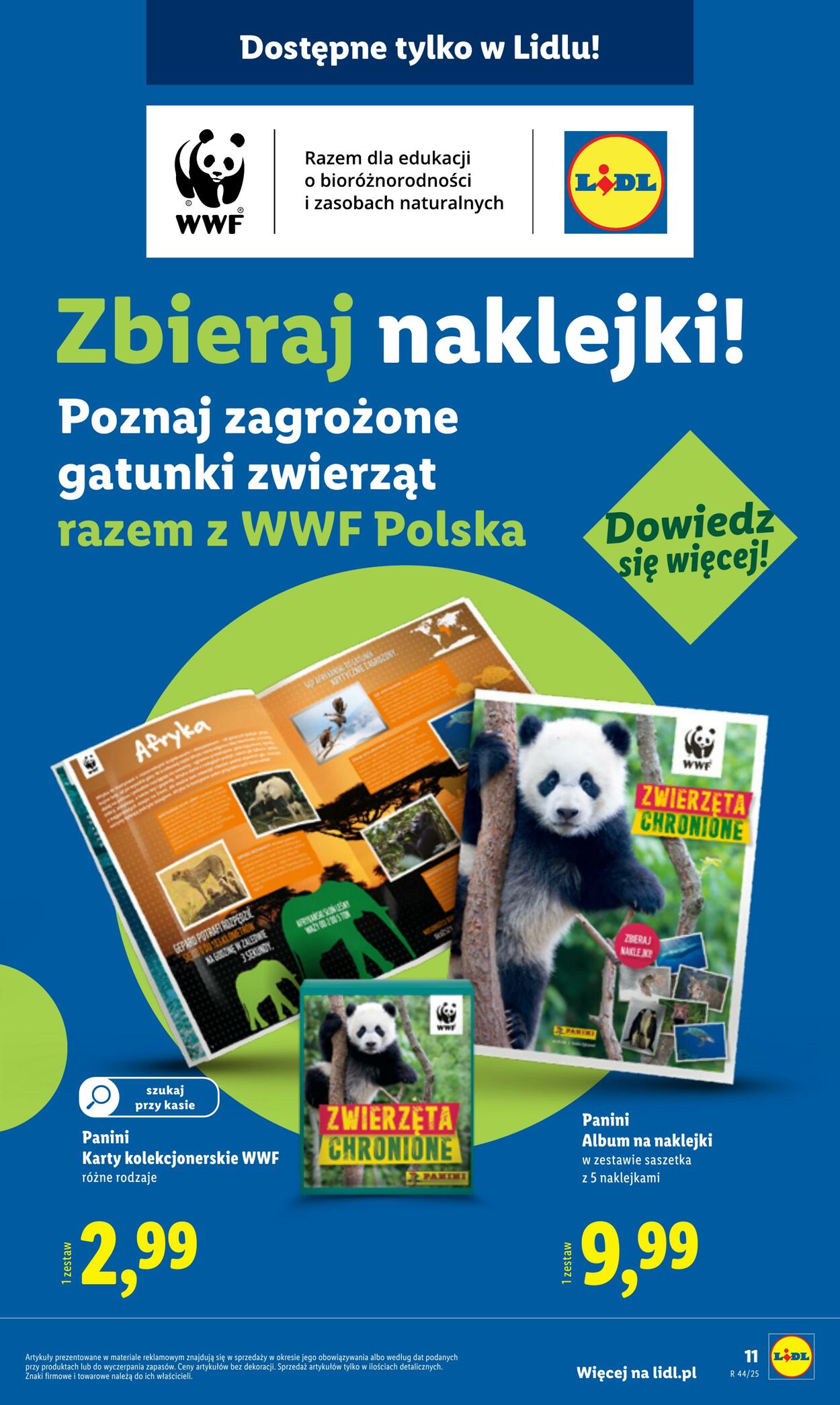 Gazetka Lidl 27.10.2025 - 31.10.2025