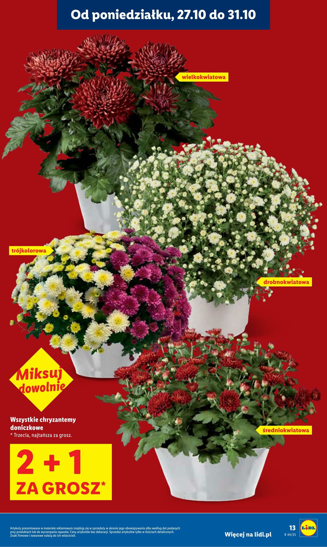 Gazetka Lidl 27.10.2025 - 29.10.2025
