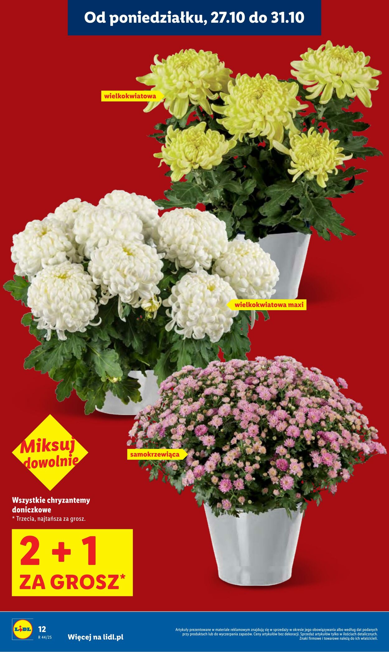 Gazetka Lidl 27.10.2025 - 29.10.2025