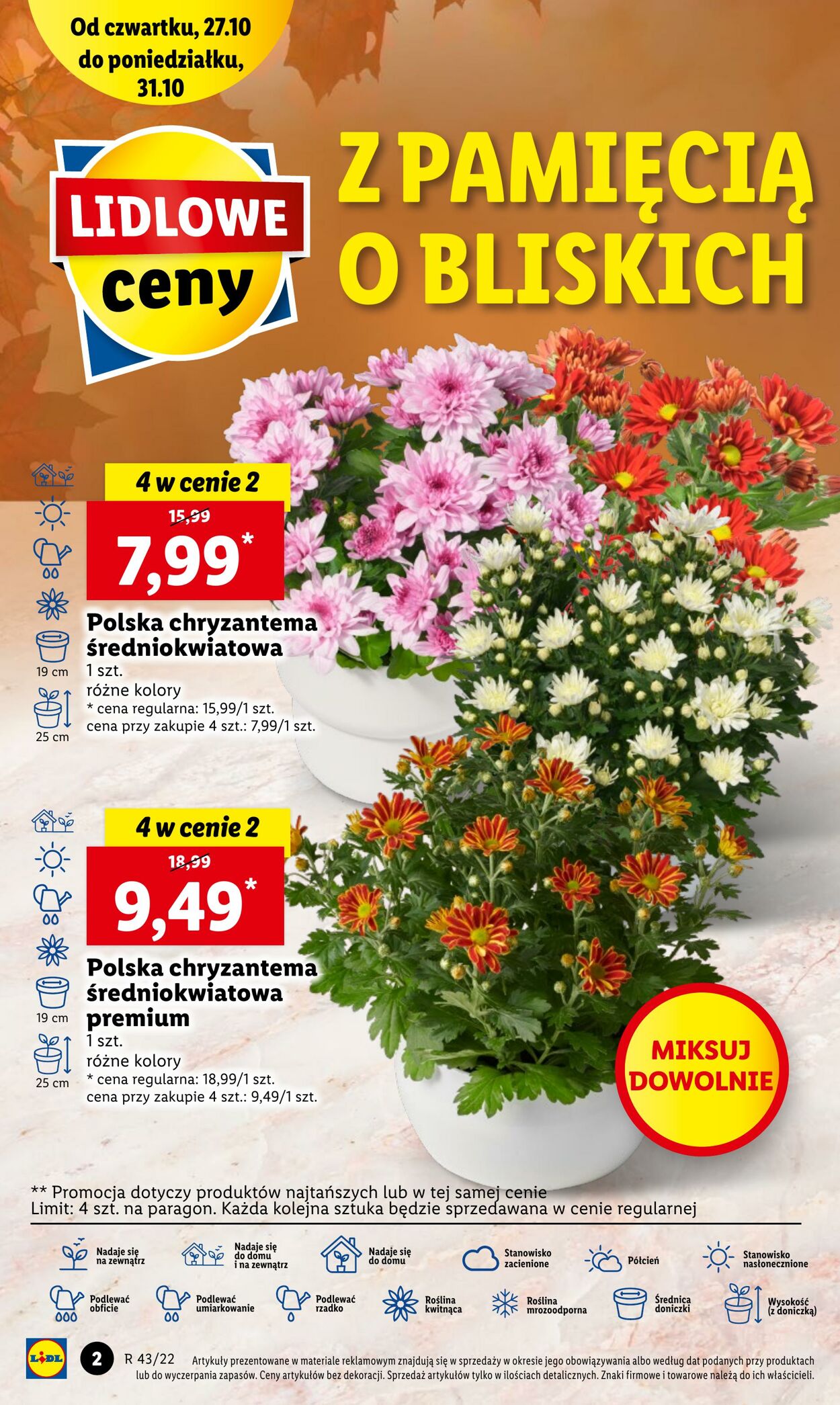 Gazetka Lidl 27.10.2022 - 31.10.2022