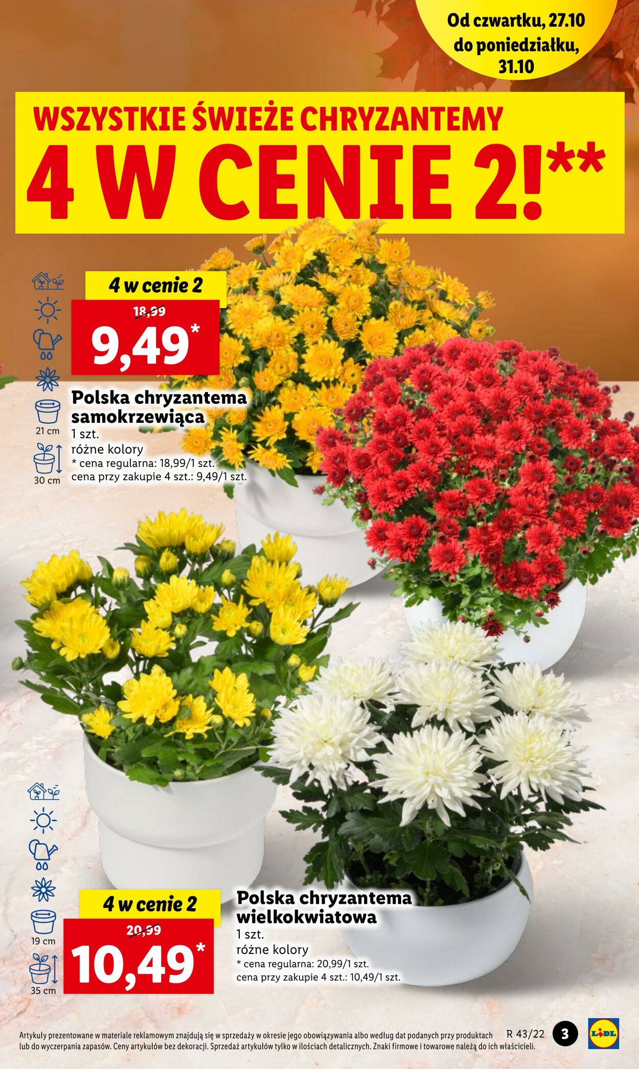 Gazetka Lidl 27.10.2022 - 31.10.2022