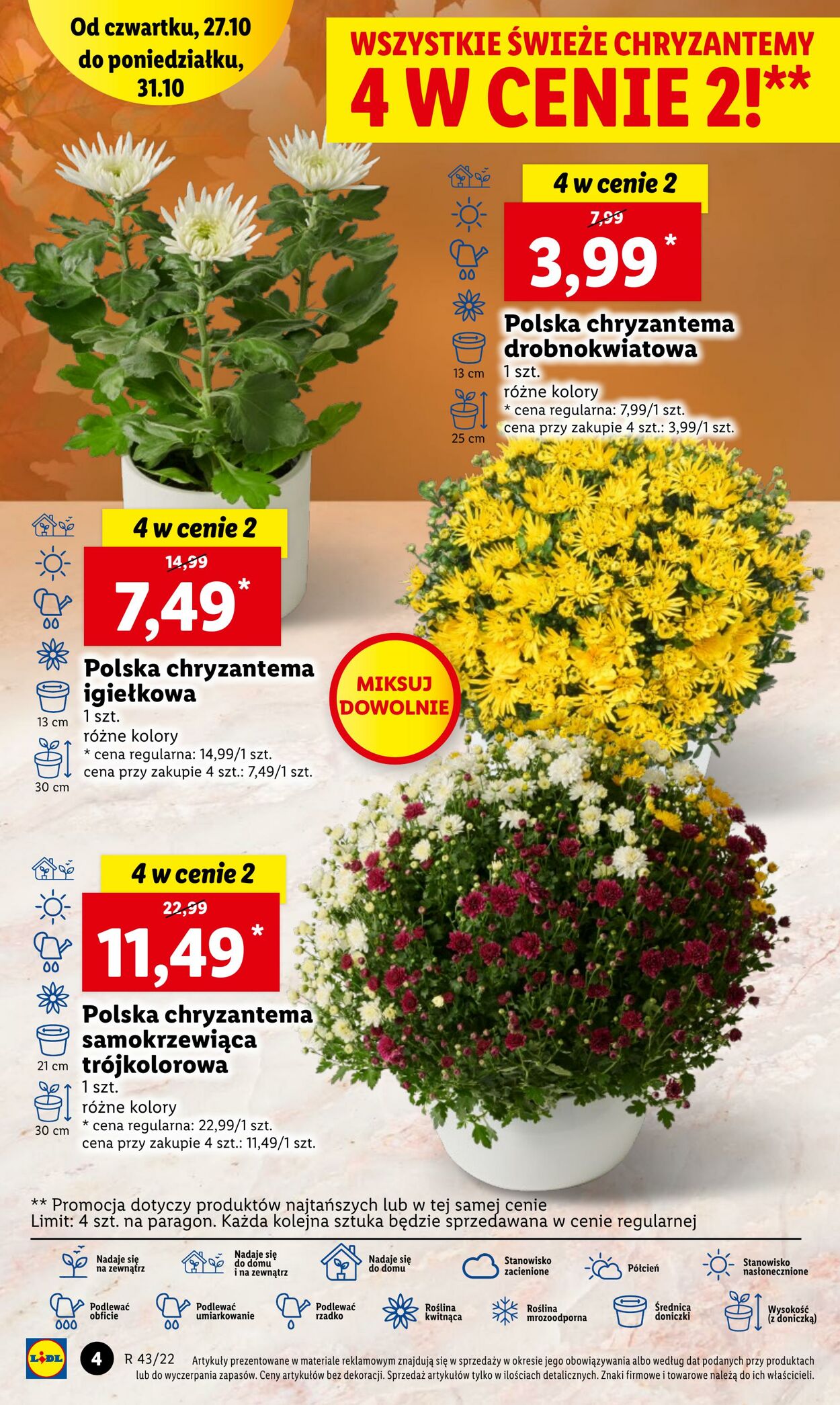 Gazetka Lidl 27.10.2022 - 31.10.2022