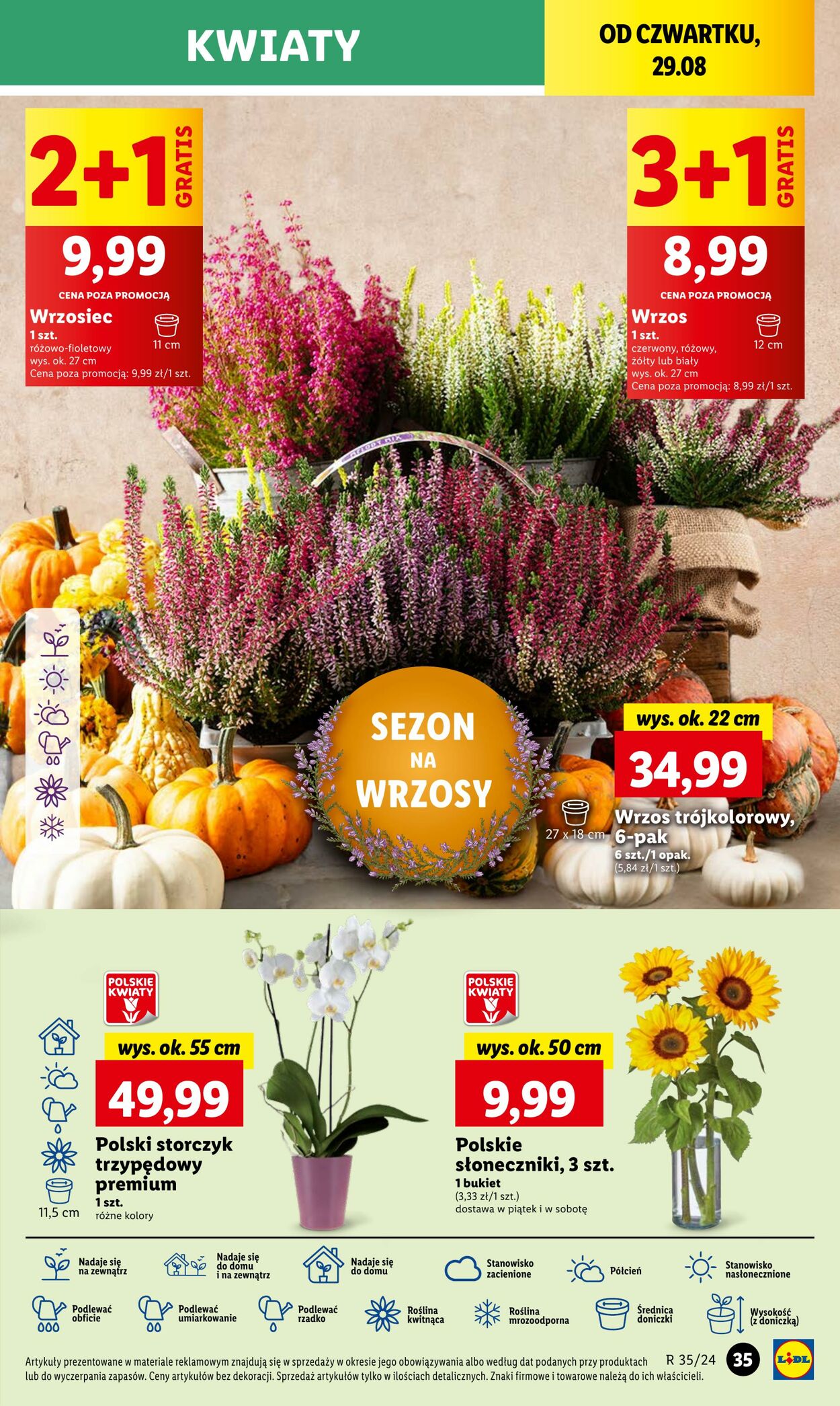 Gazetka Lidl 29.08.2024 - 31.08.2024