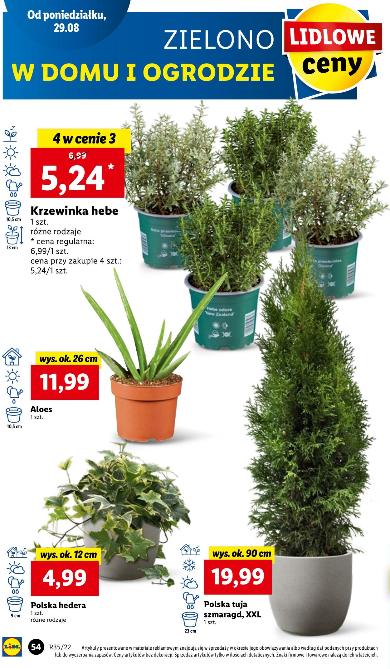 Gazetka Lidl 29.08.2022 - 31.08.2022