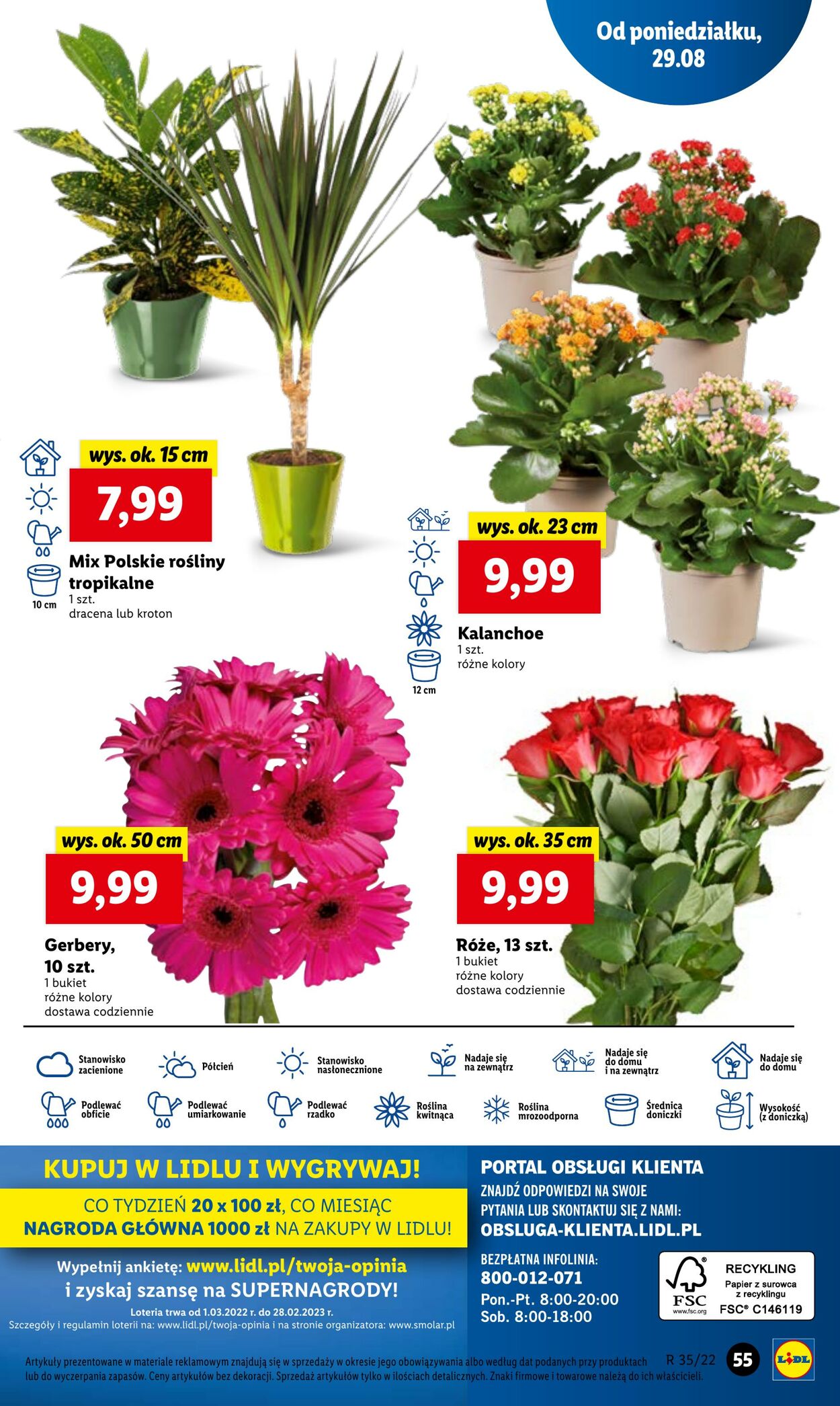 Gazetka Lidl 29.08.2022 - 31.08.2022